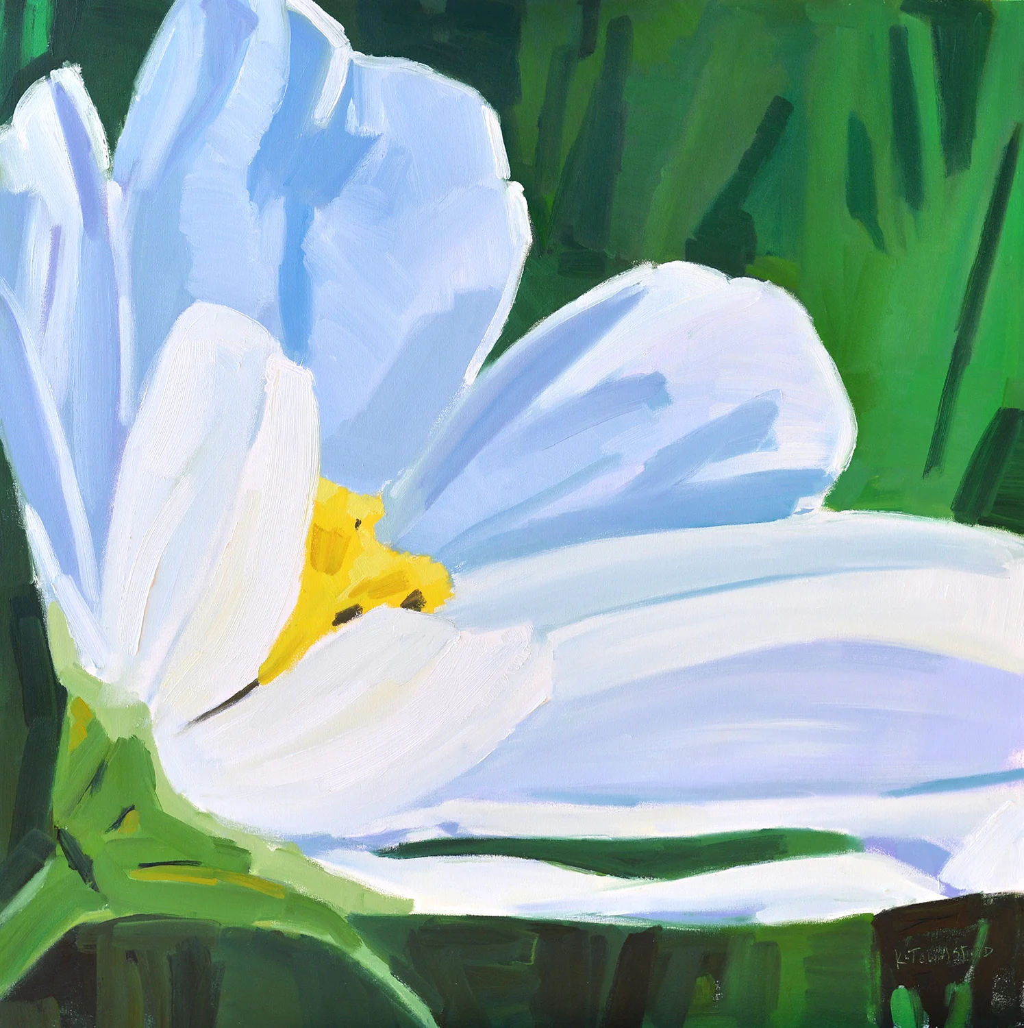 White Daisy Reaching