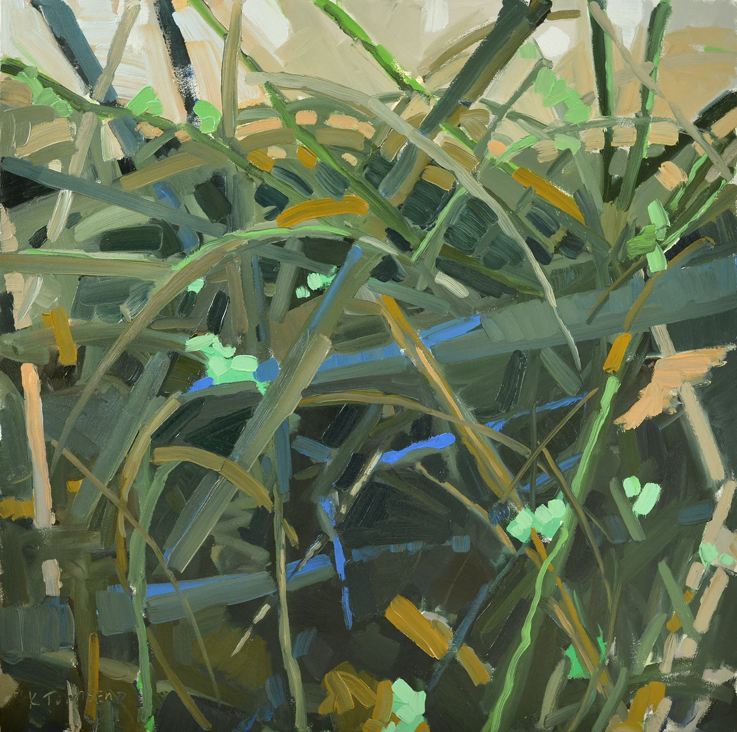 Hiding Place