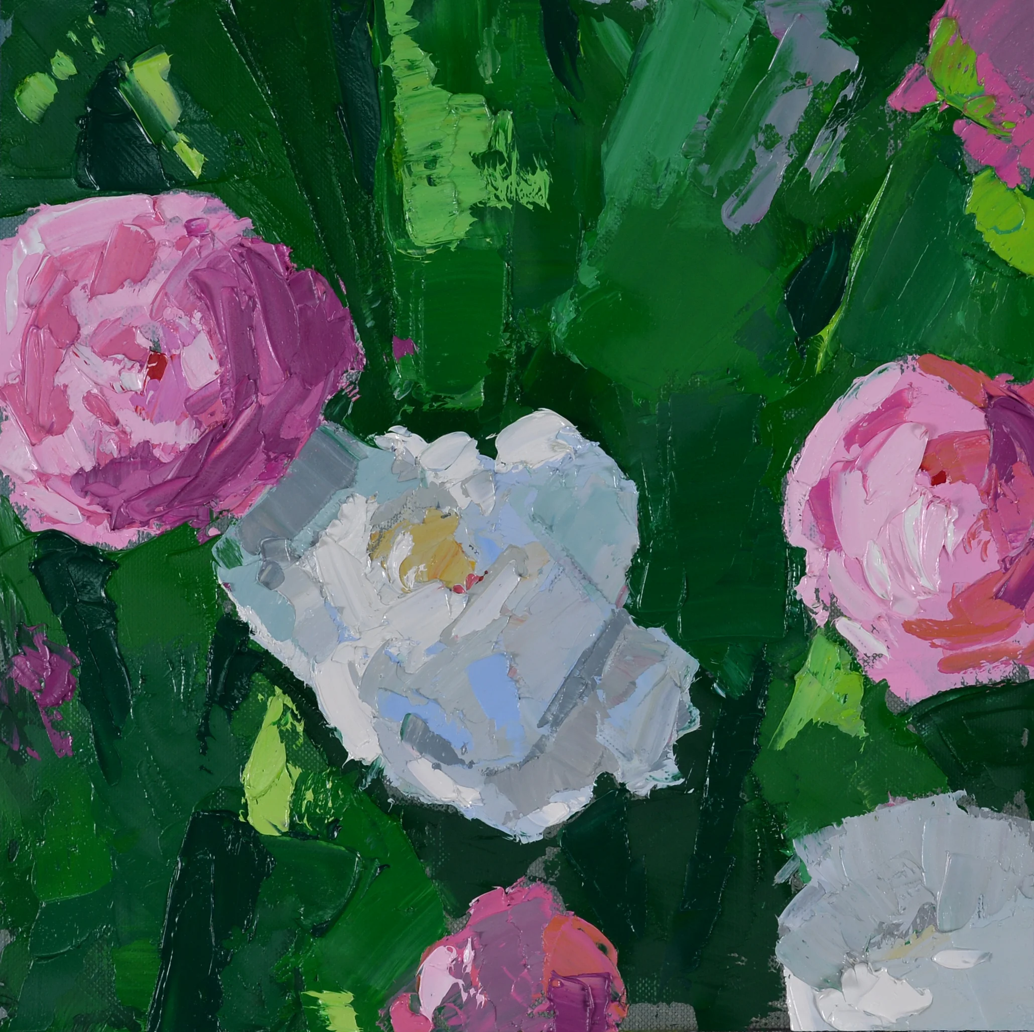 Peonies