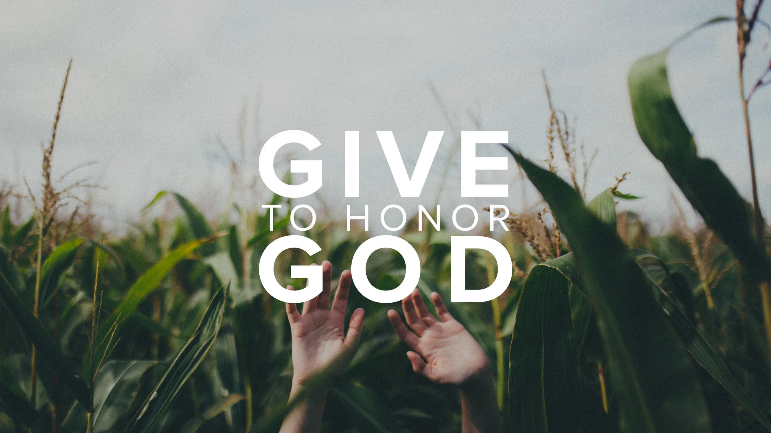 CCF_IMG_Give-to-honor-God.jpg