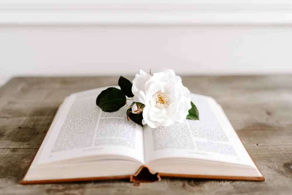 An open Bible with a white rose resting on it