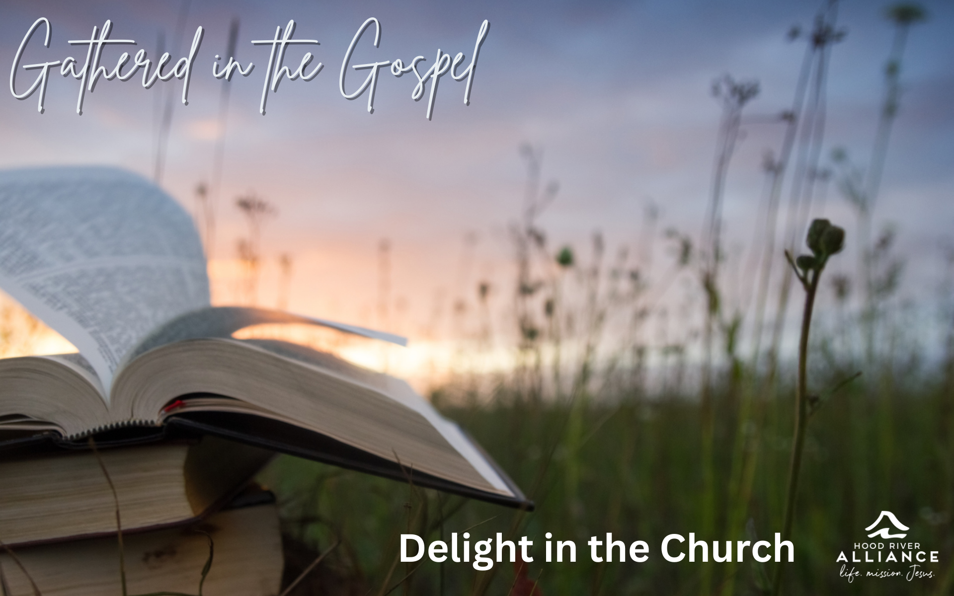 Gathered in the Gospel - Delight in the Church 