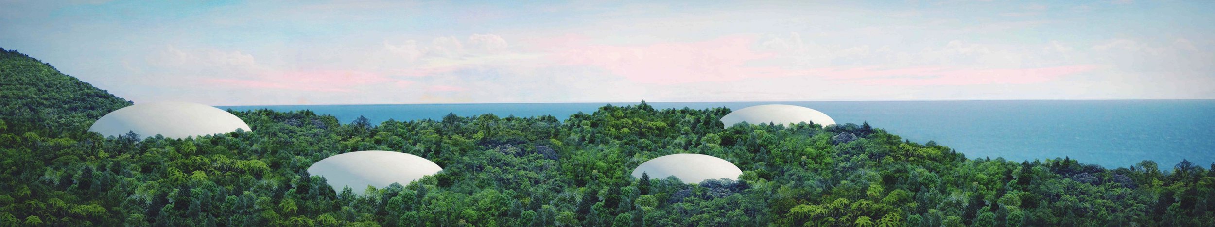 Soil and trees covering the bare rocks of the limestone quarry, shielding the Sound Cathedrals