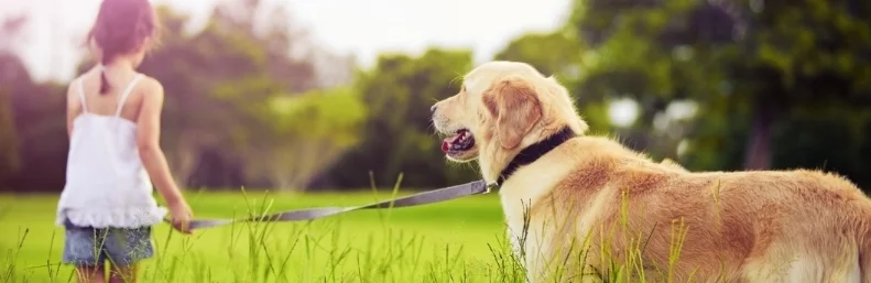 banner_2.jpg
