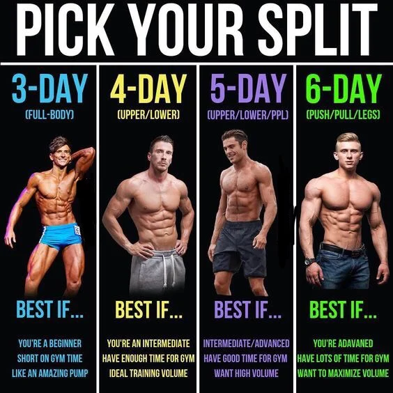 Push Pull Workout 4 Days EOUA Blog