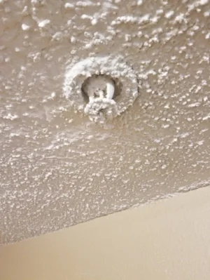Painted Fire Sprinkler