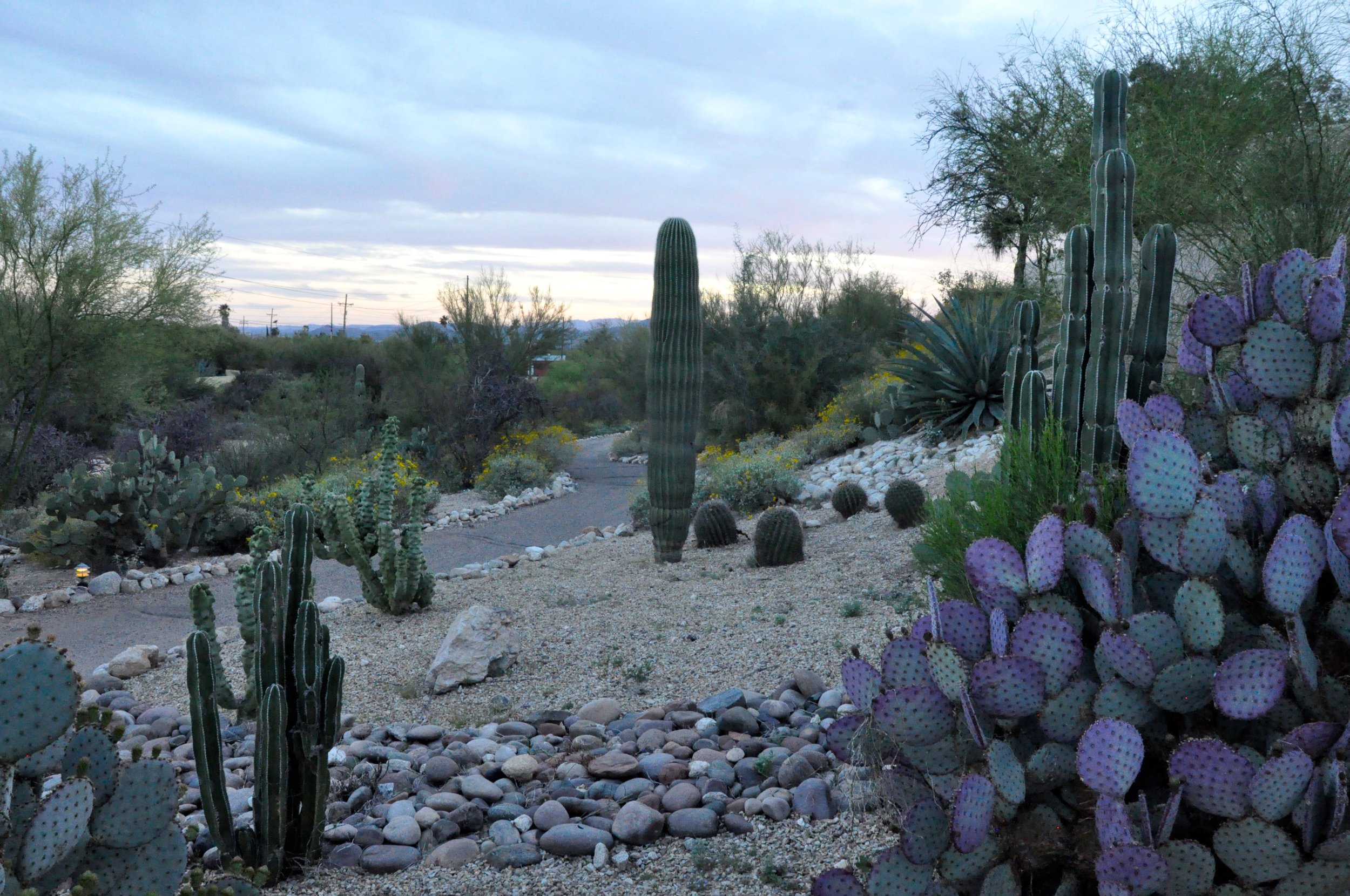 Tucson, Arizona