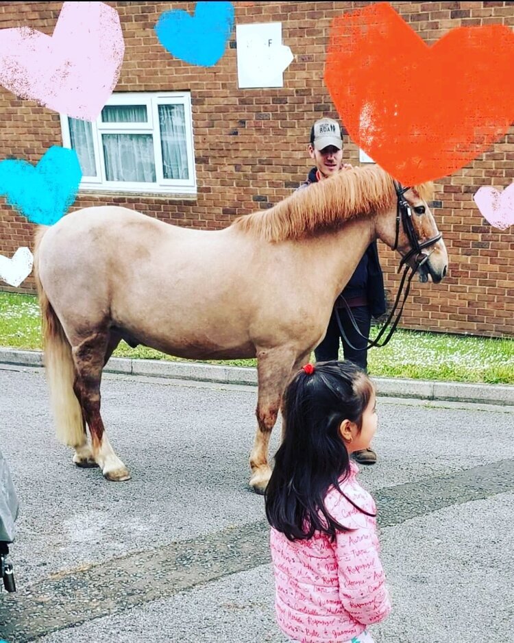 Horse+spreading+love.jpeg