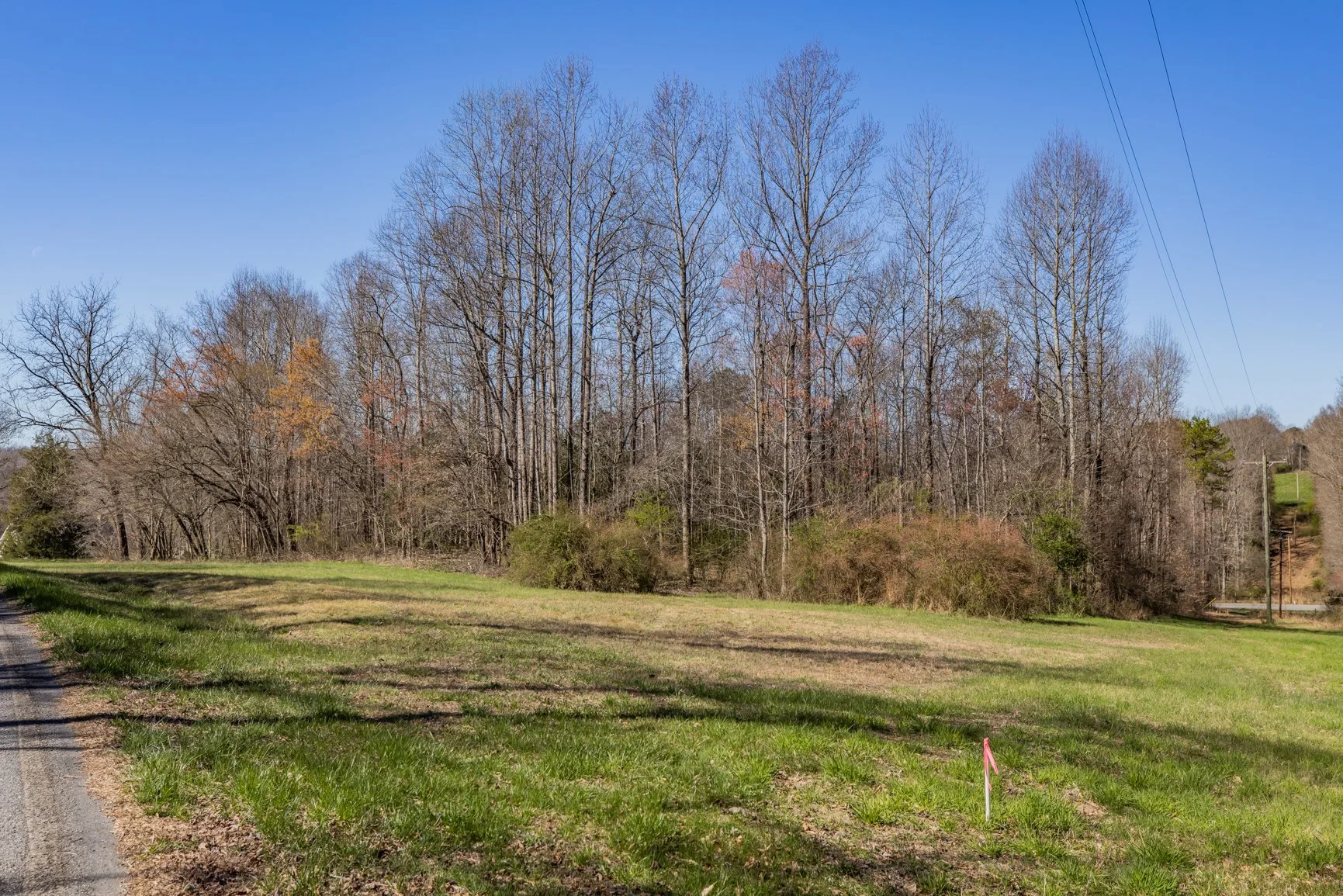 3 acres, Ireland Rd, near Yadkinville, NC — Own Good Land