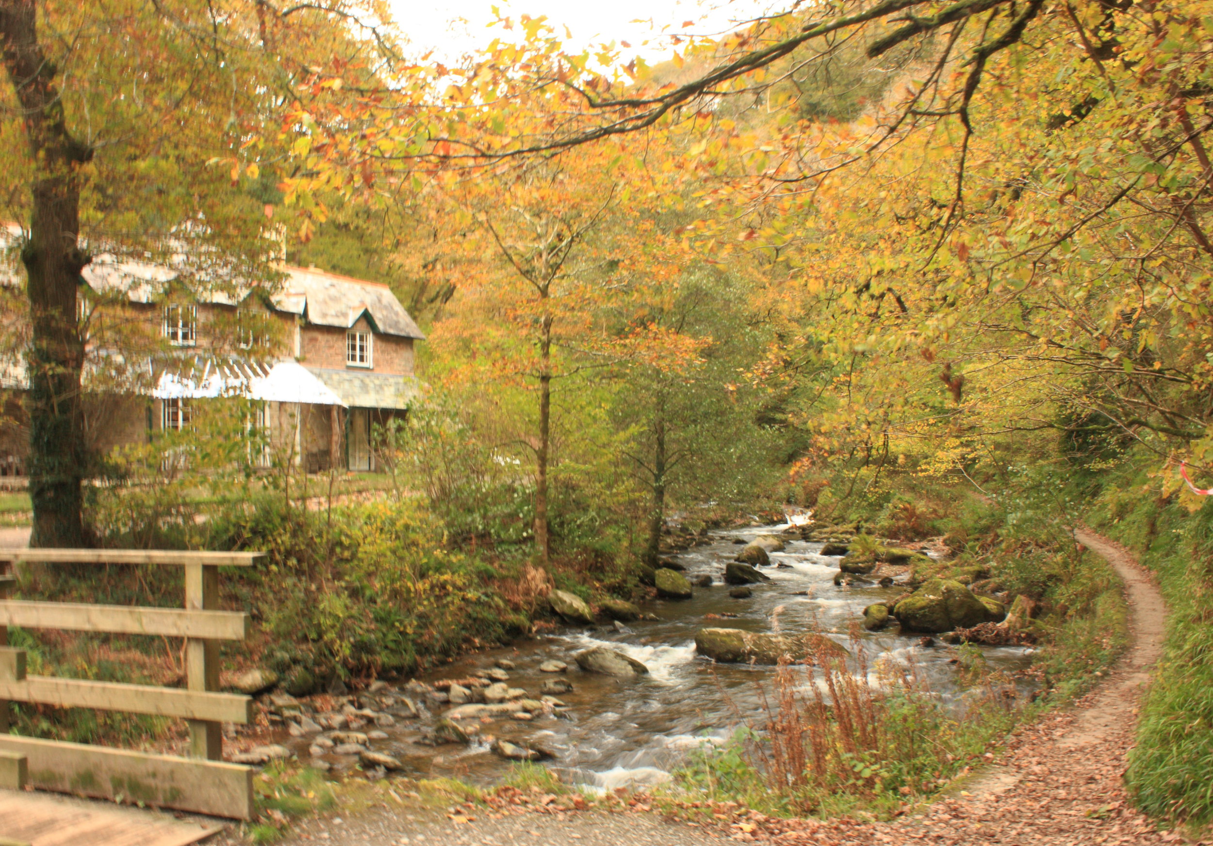Cream tea at Watersmeet