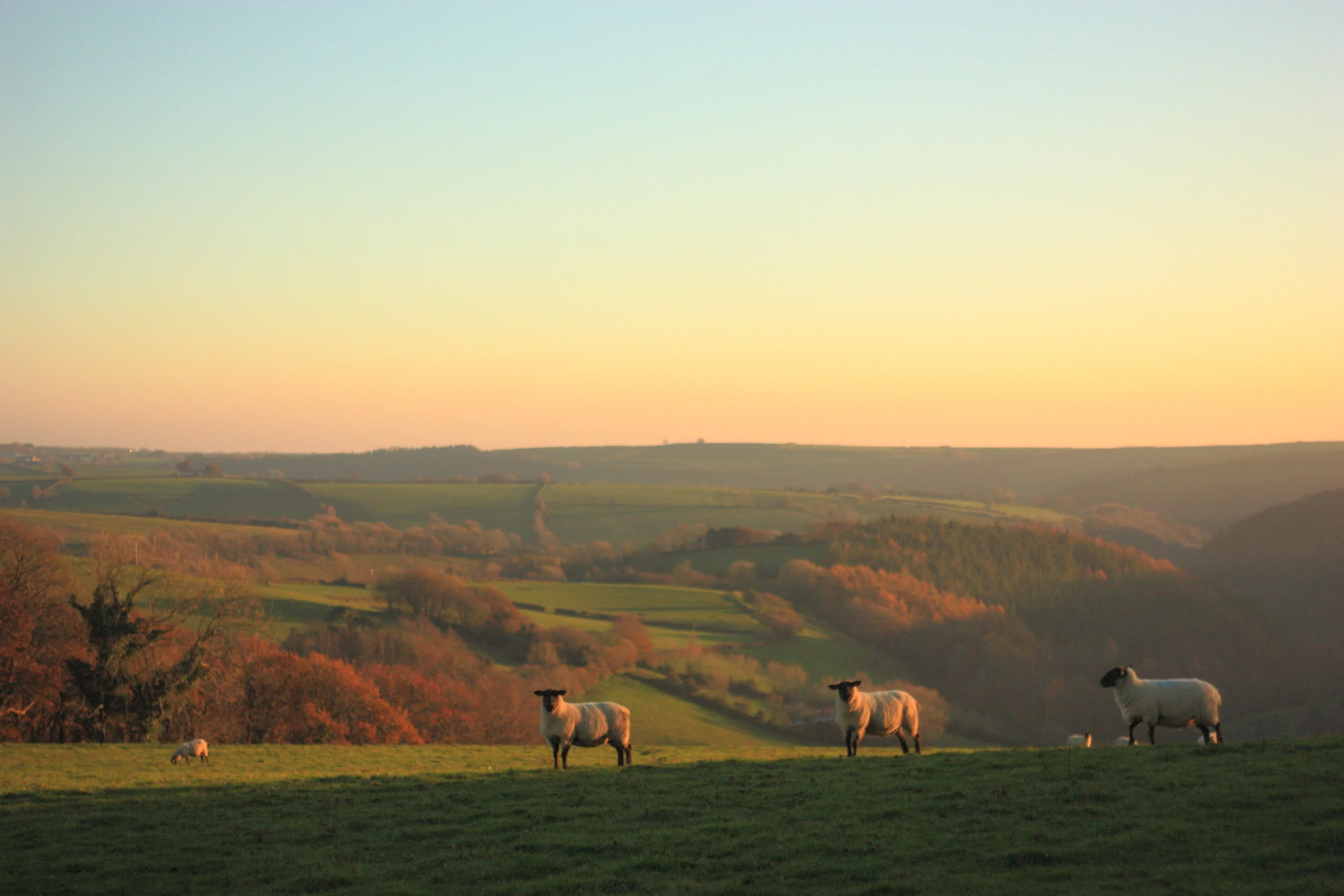 Geocaching around Arlington Court.