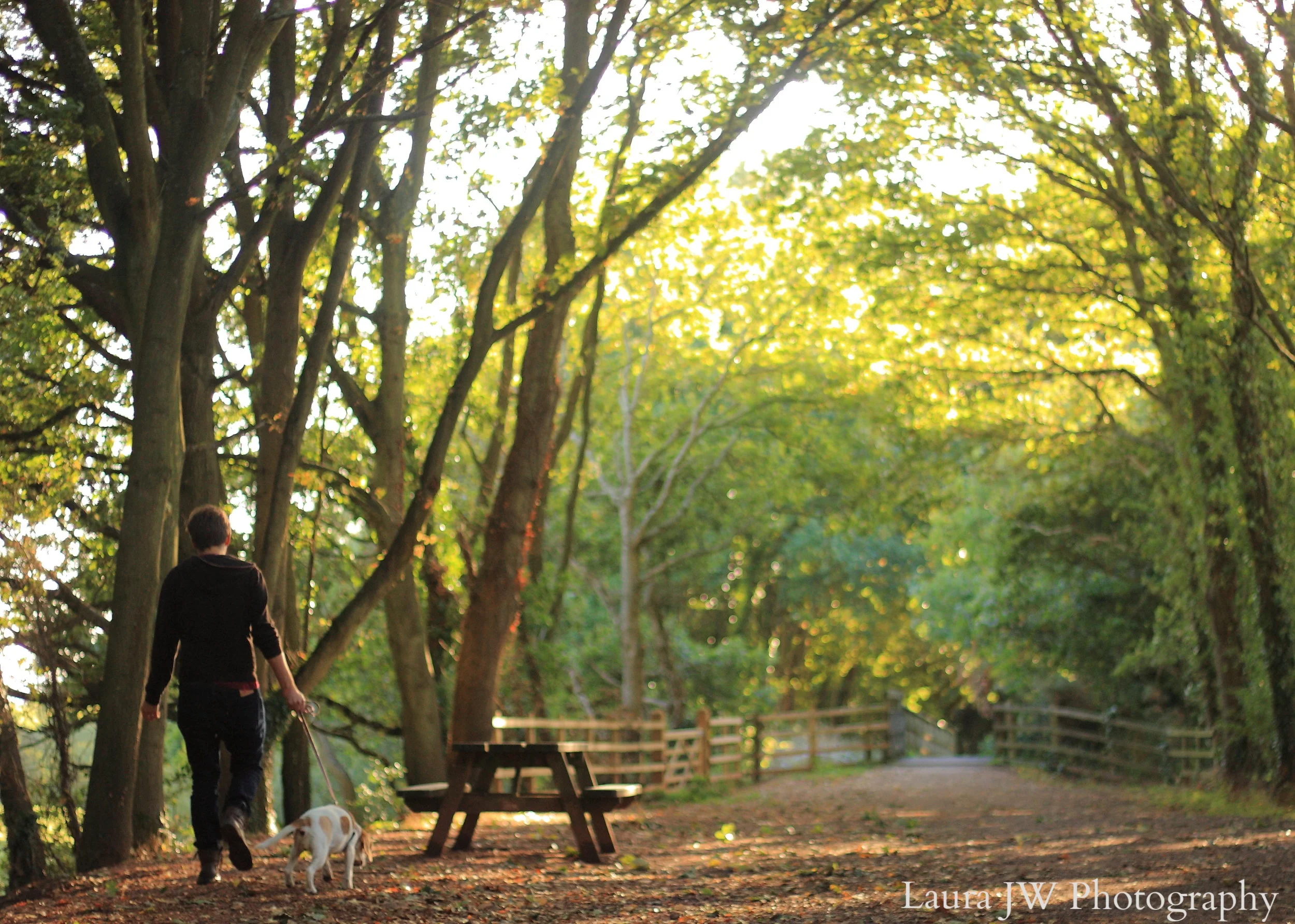 Man's Best Friend - Exmouth Cycle Path