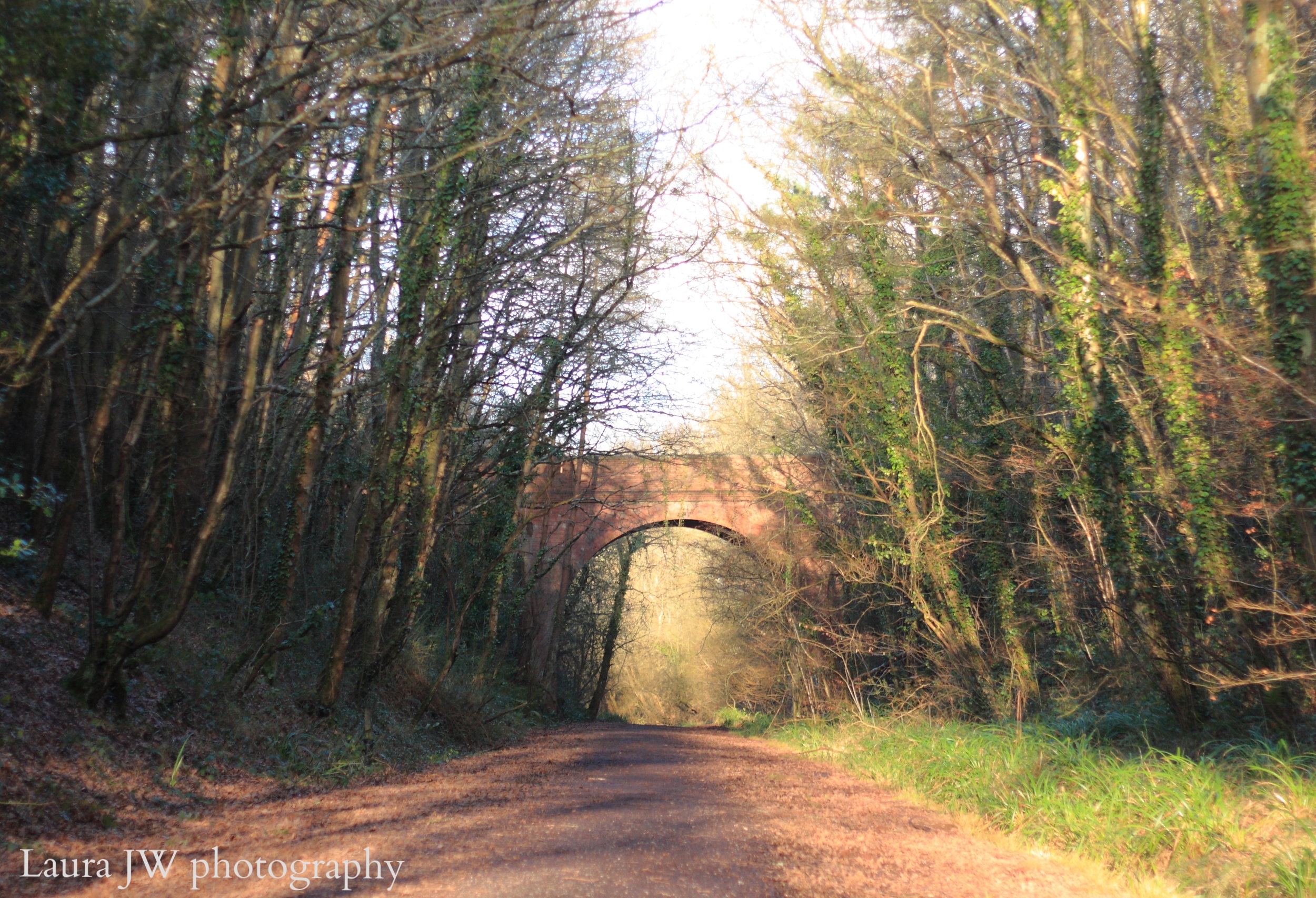 Castle Lane Bridge