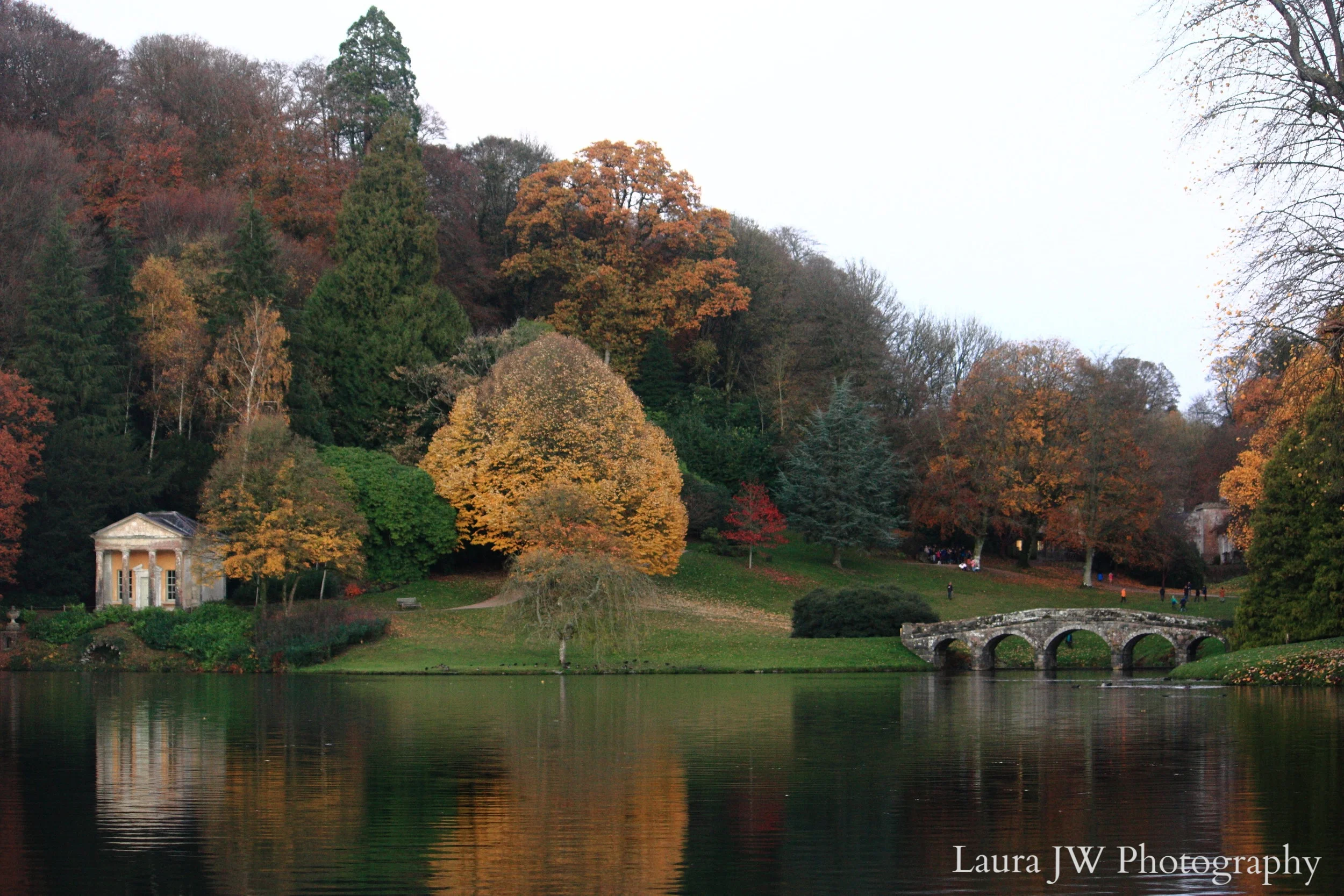 Reflections on the Lake