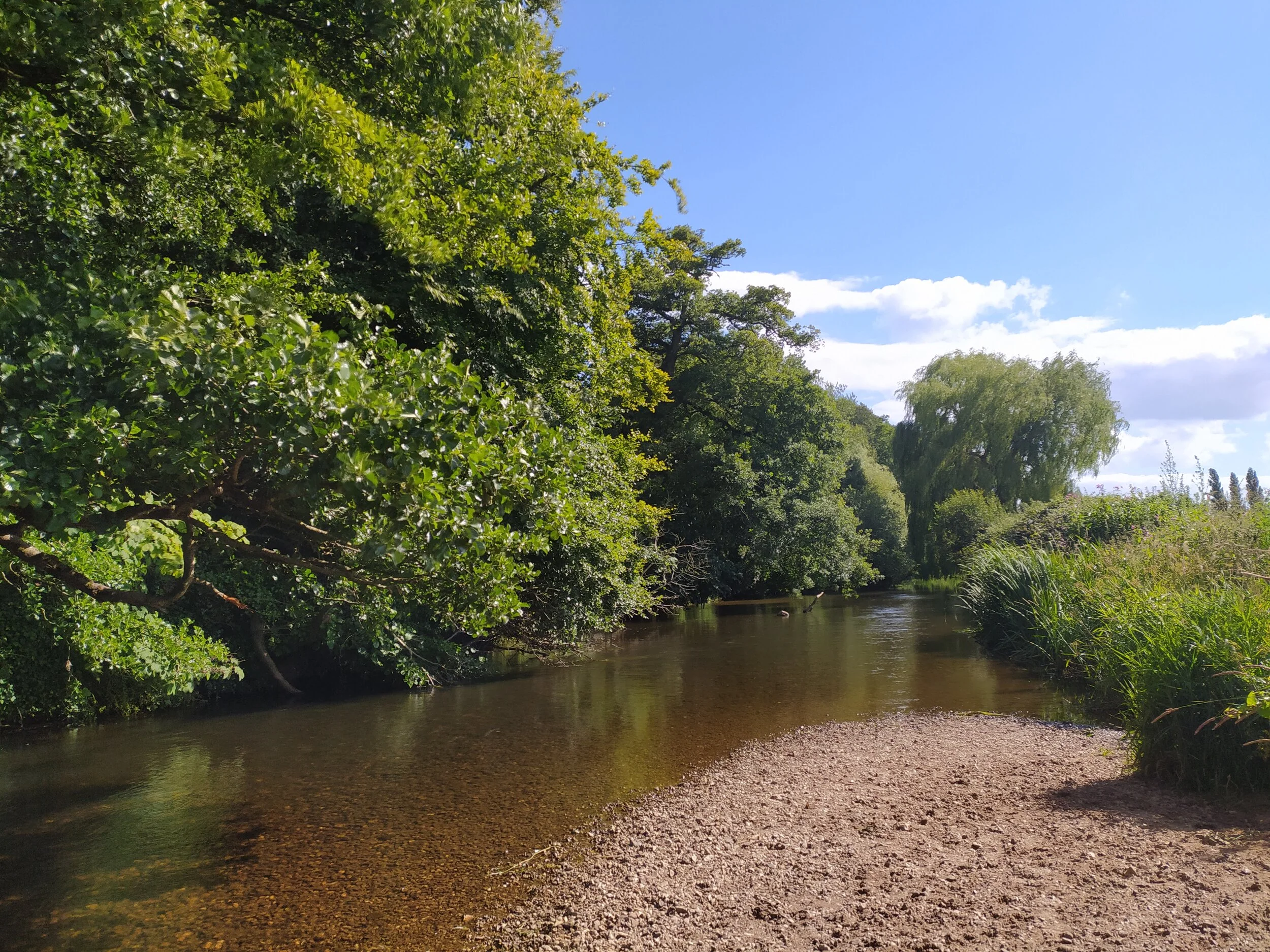 River Otter walk to Bicton Obelisk and Church. 