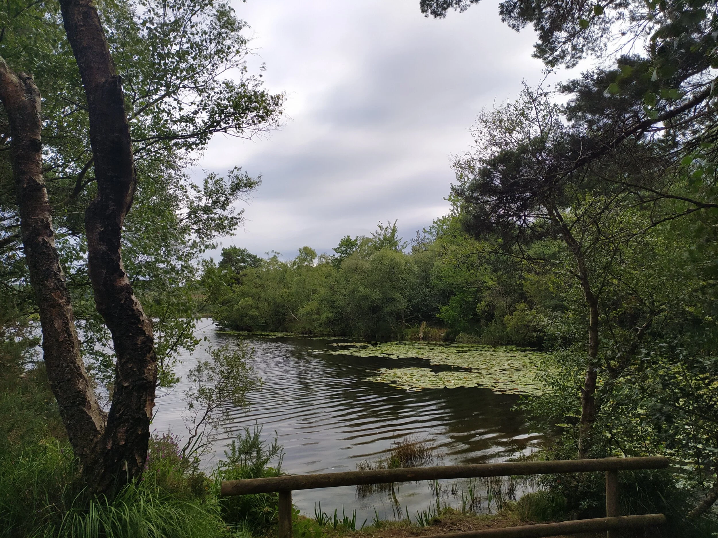 East Budleigh Common via Squabmoor Reservoir