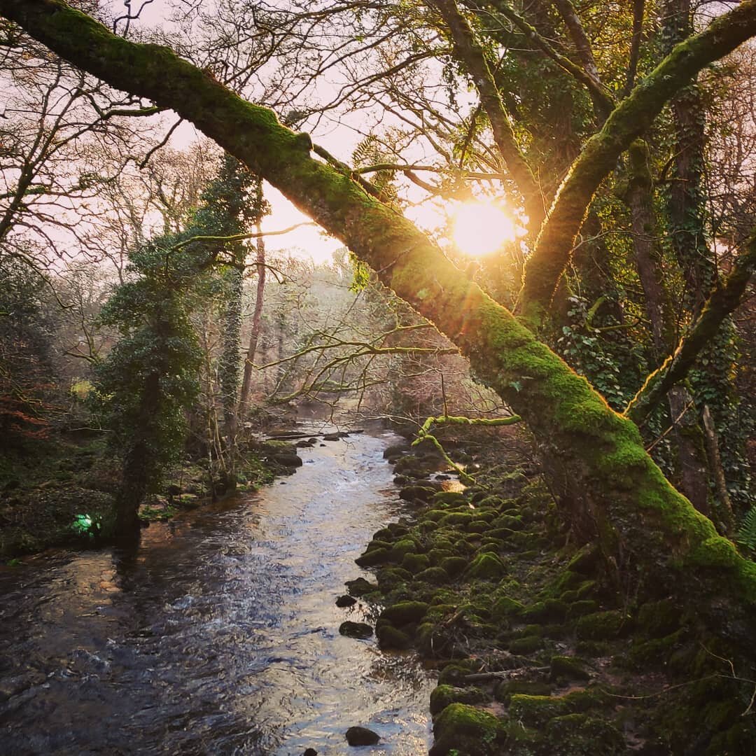 Low sun over the River Teign. Near Castle Drogo.
.
.
.
.
#Devon #swisbest #sw #dartmoor #castledrogo #finglebridge #riverwalk #winterwalk #sun #river #daysout #walks #walking #rambler