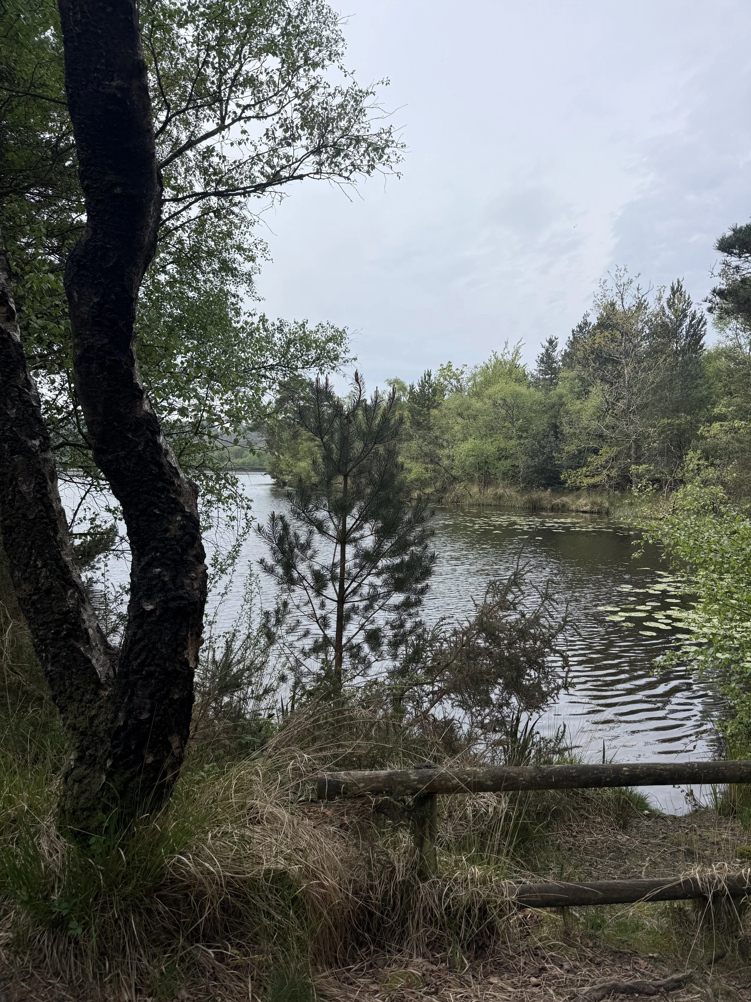 Views of Squabmoor reservoir