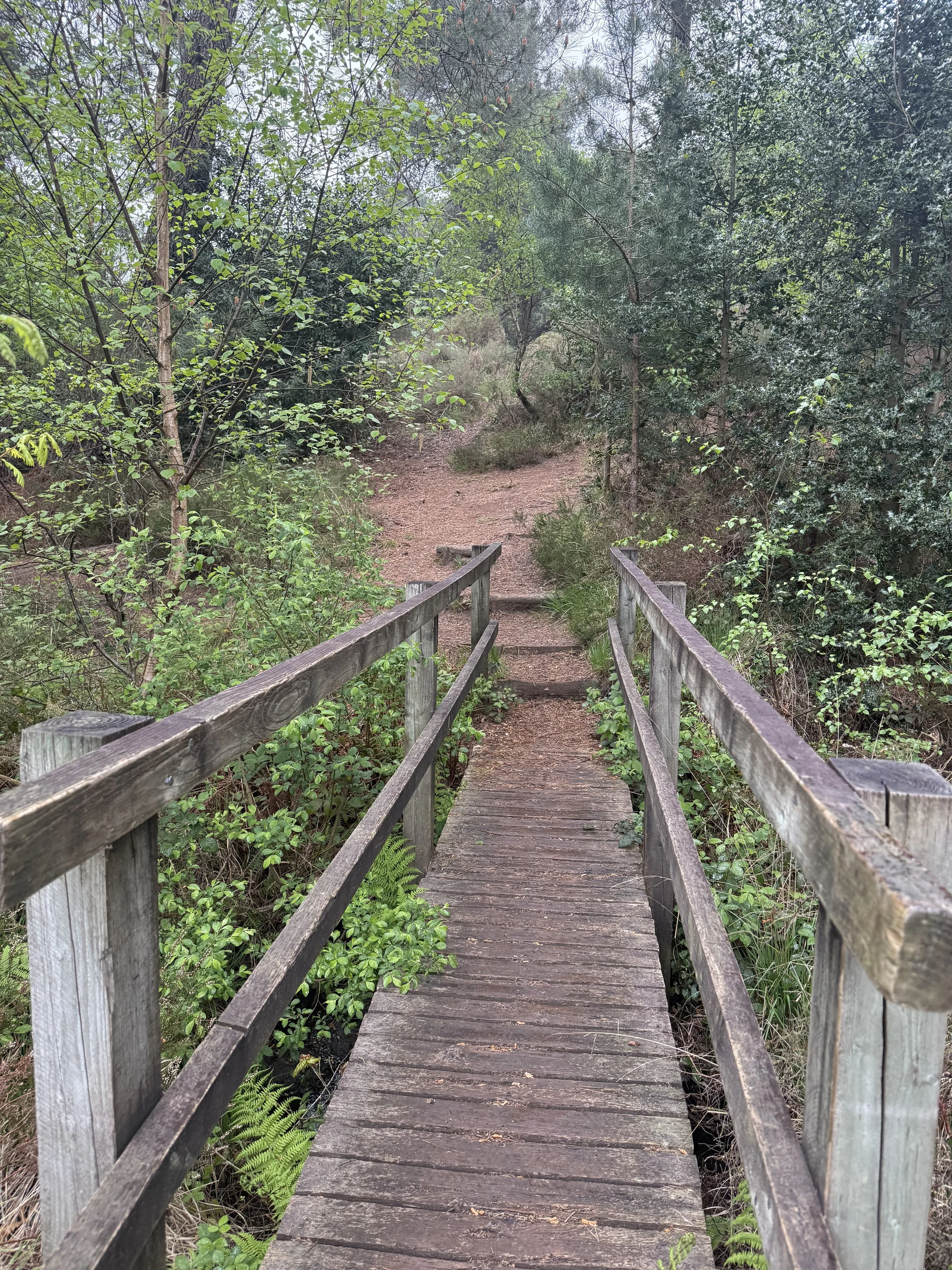 Bridge across Bystock Pools