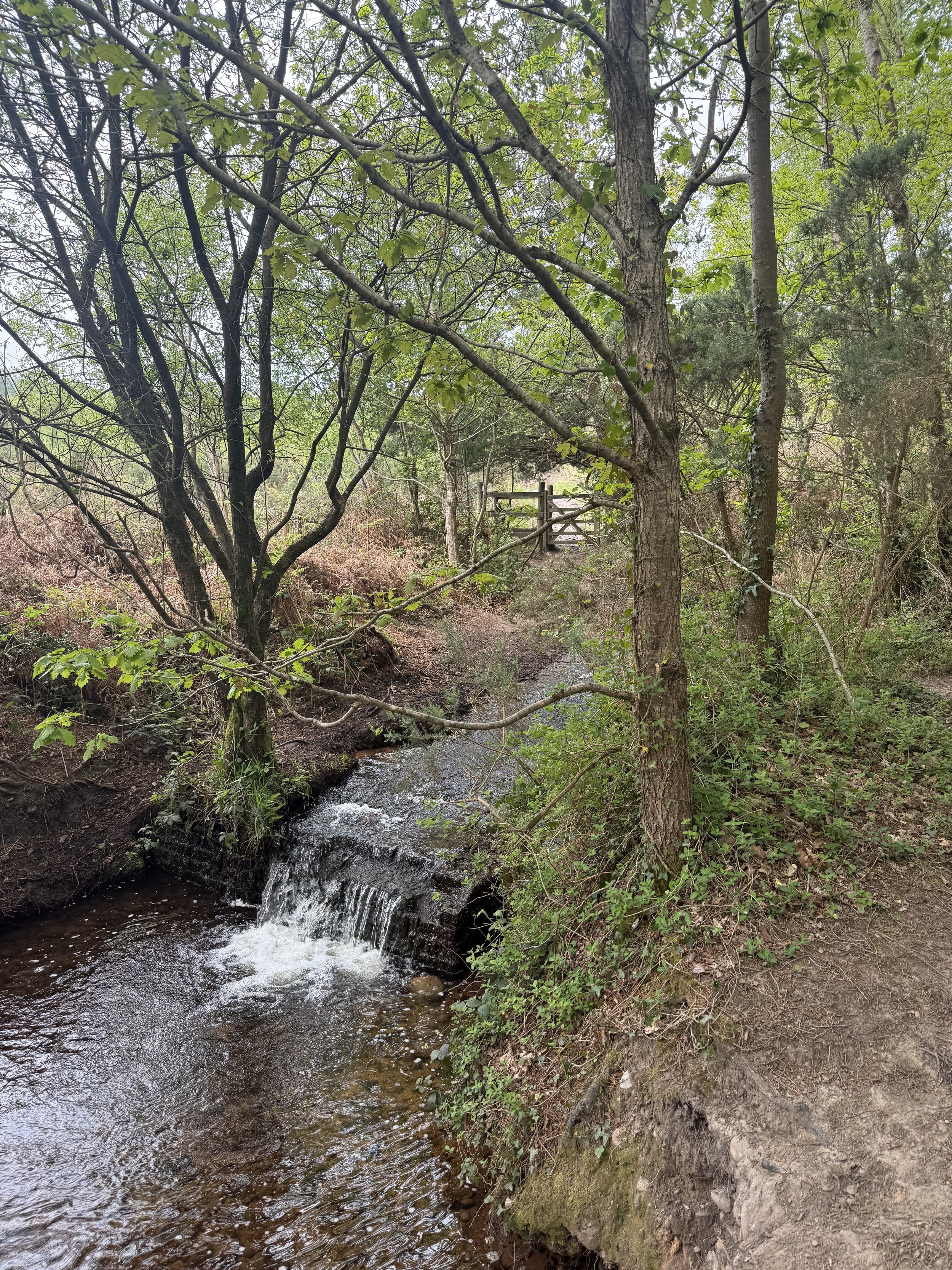 Lovely waterfall as you cross the stream