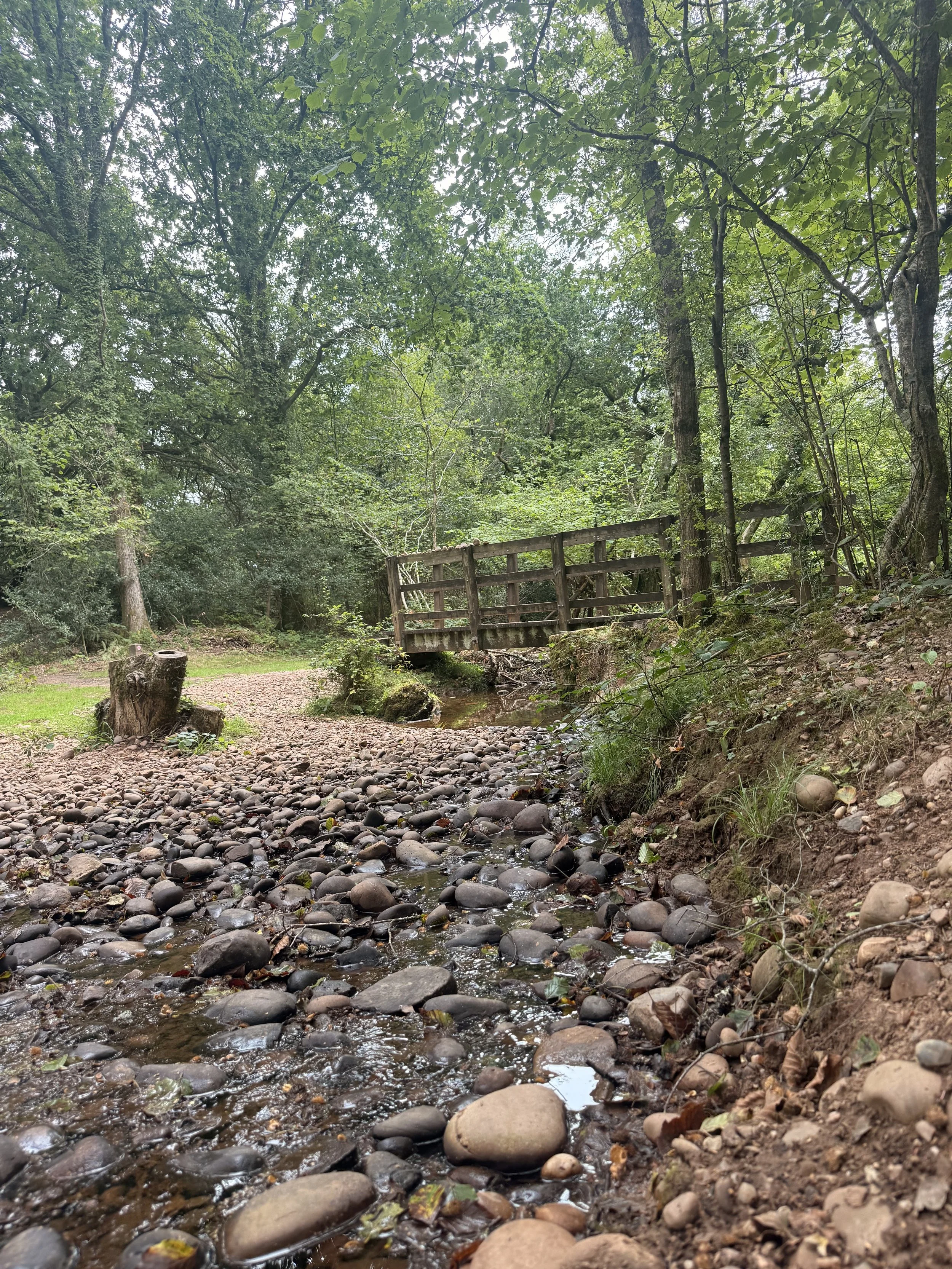 Newton Poppleford to Aylesbeare Common Circular
