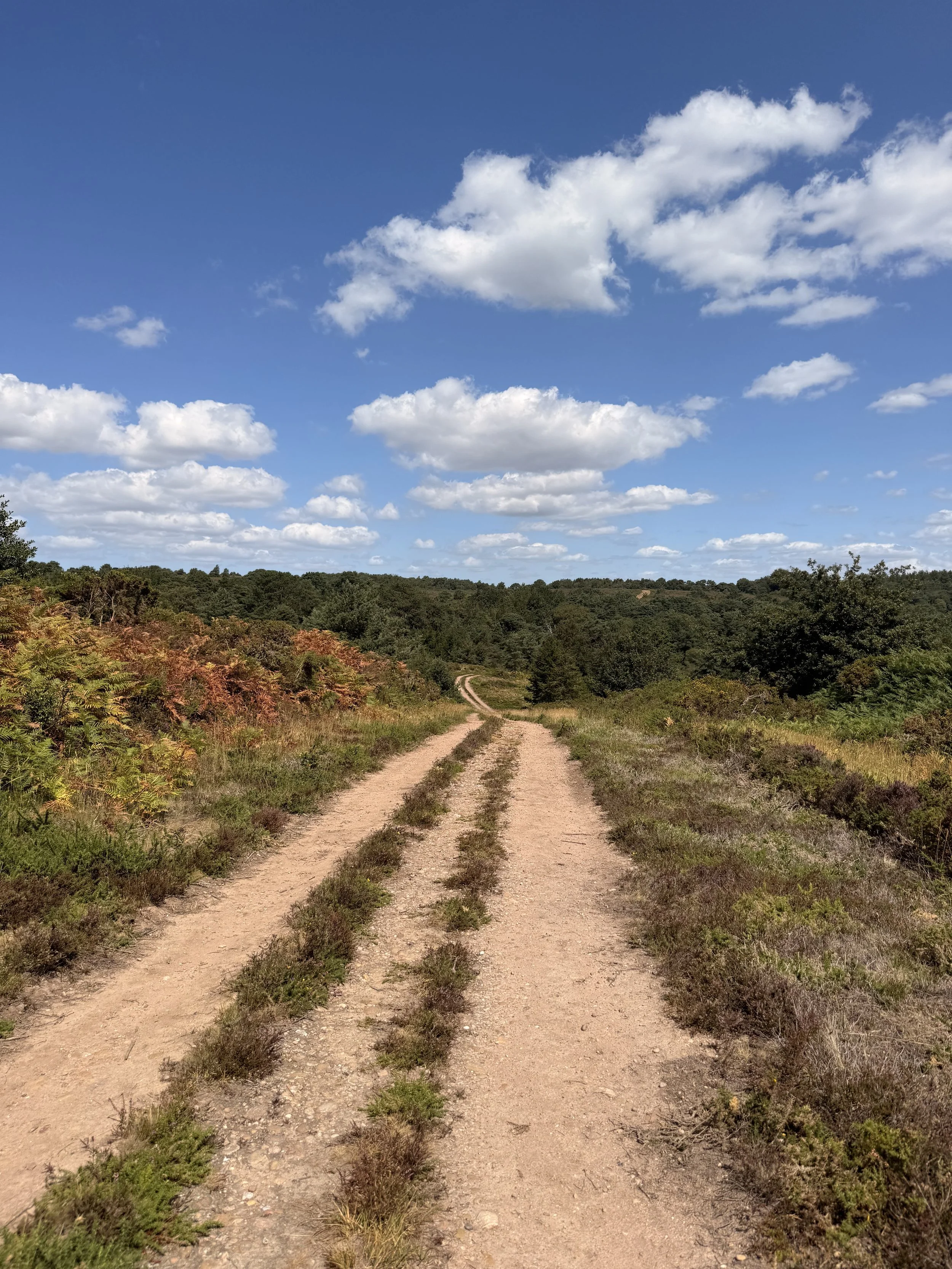 Withycombe common nature reserve