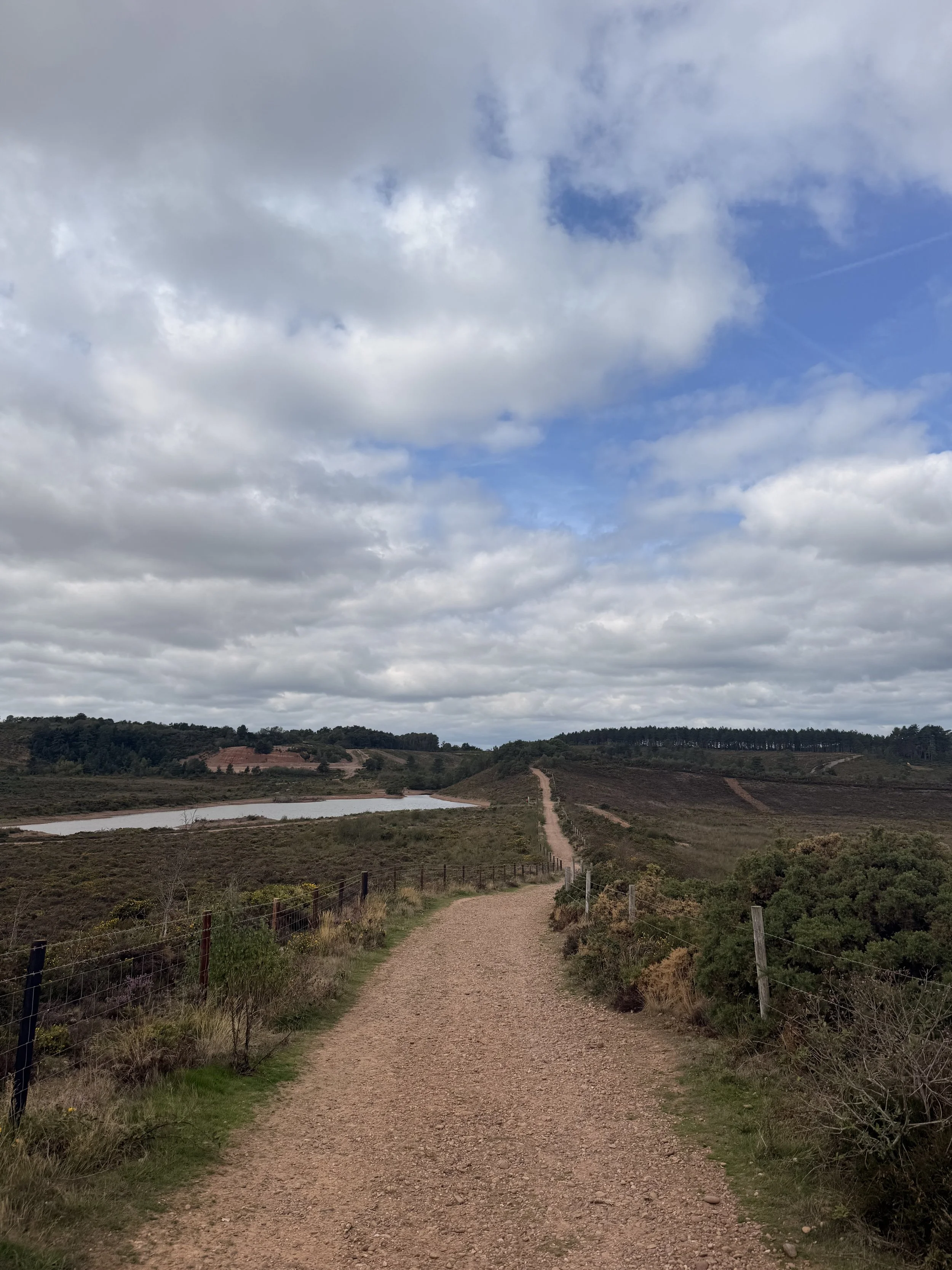 Bicton Common Circular Walk