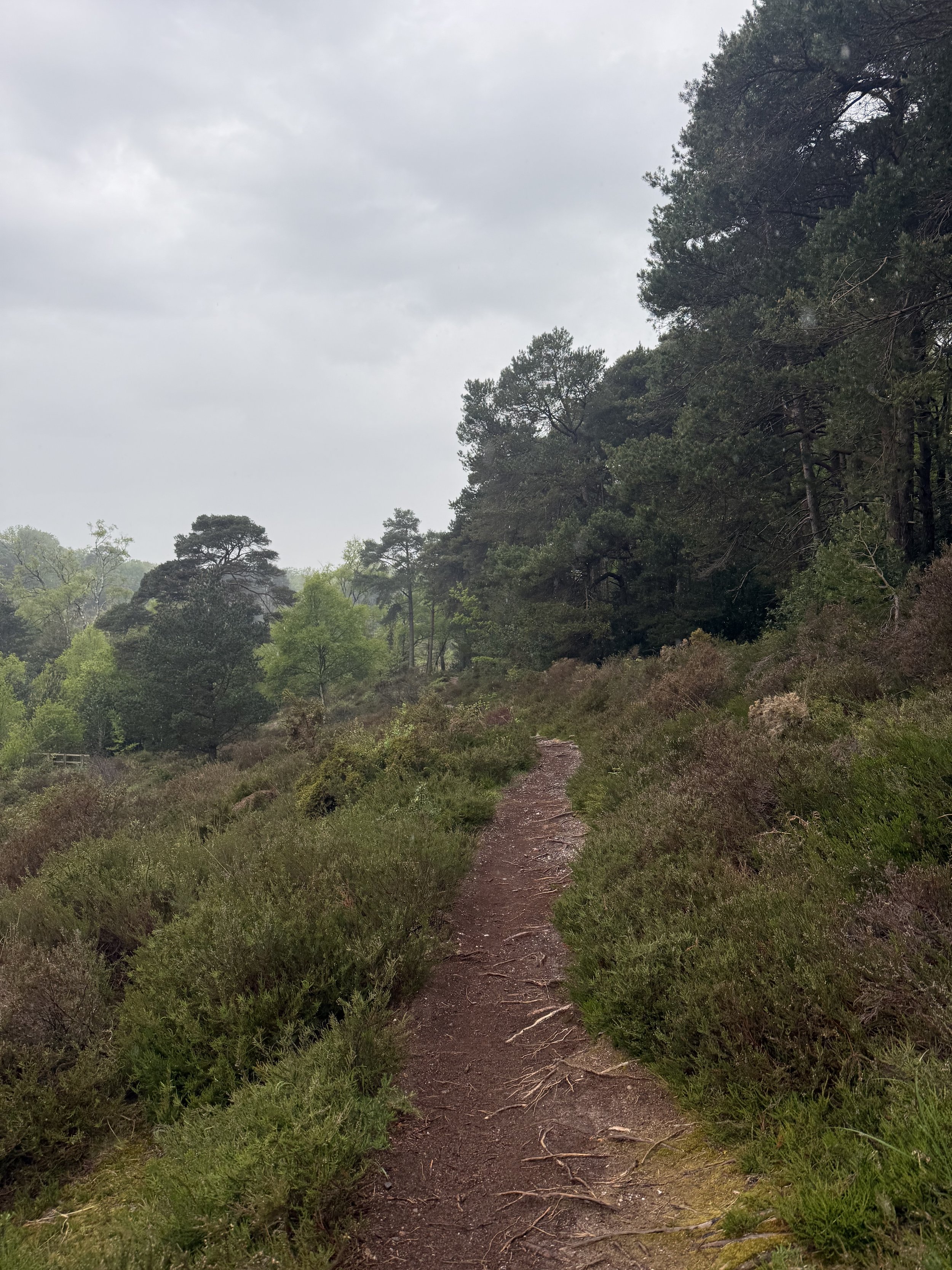 The walk around Bystock Pools