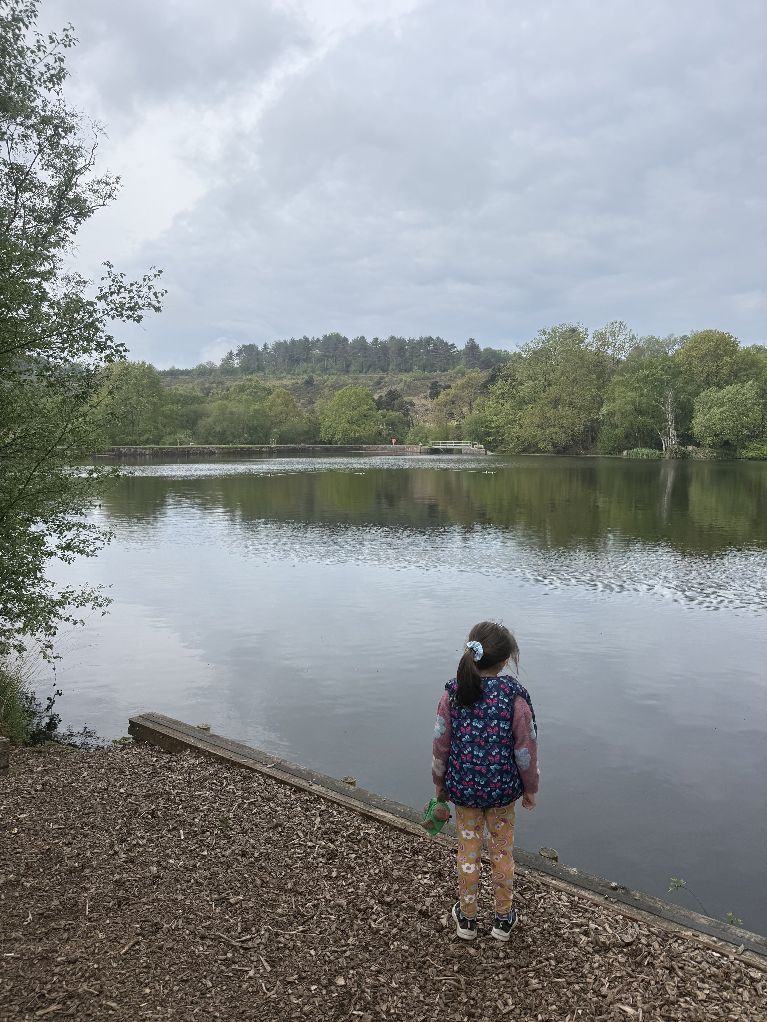 More views of Squabmoor reservoir