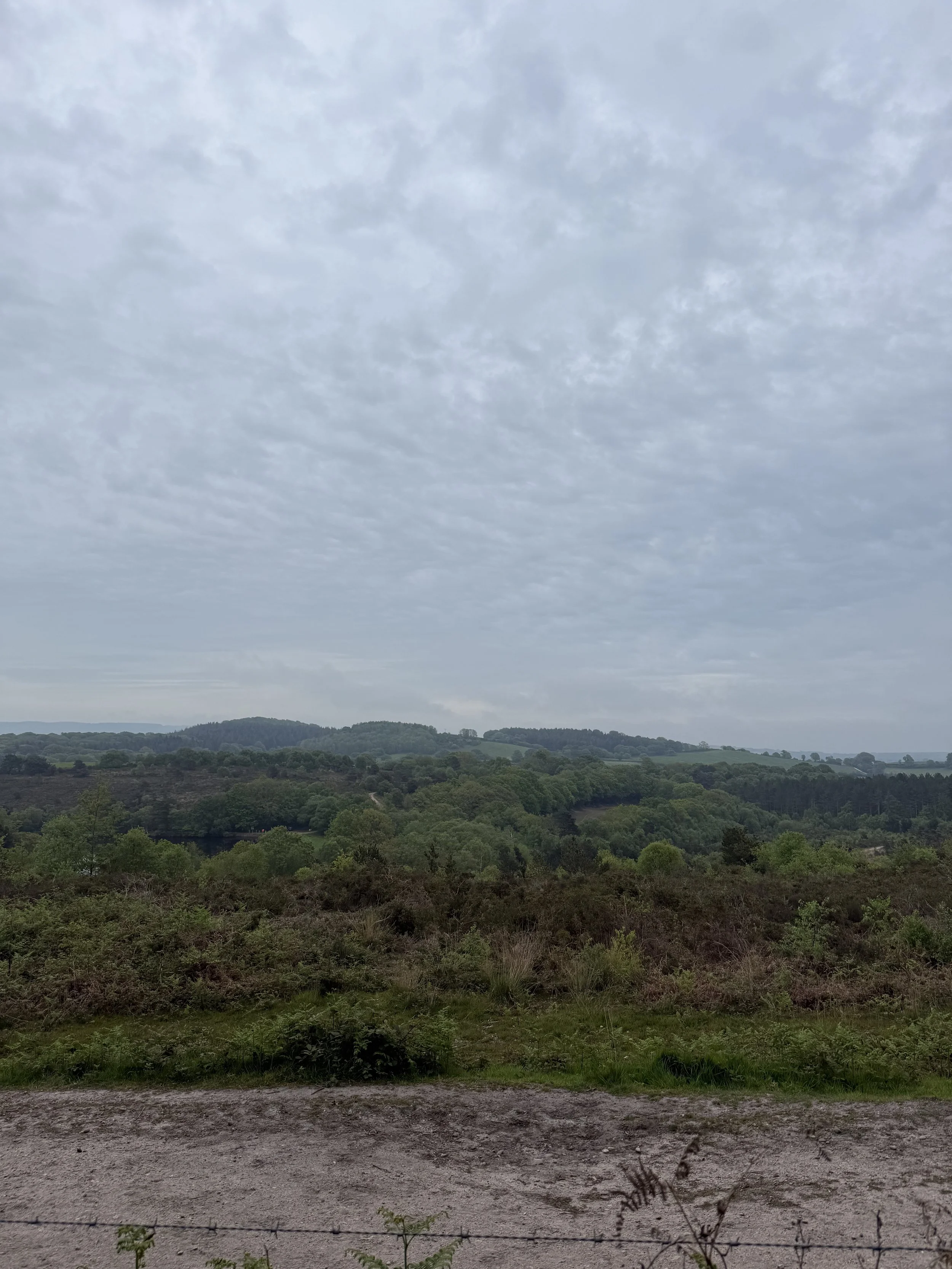 Views of the valley on an overcast day
