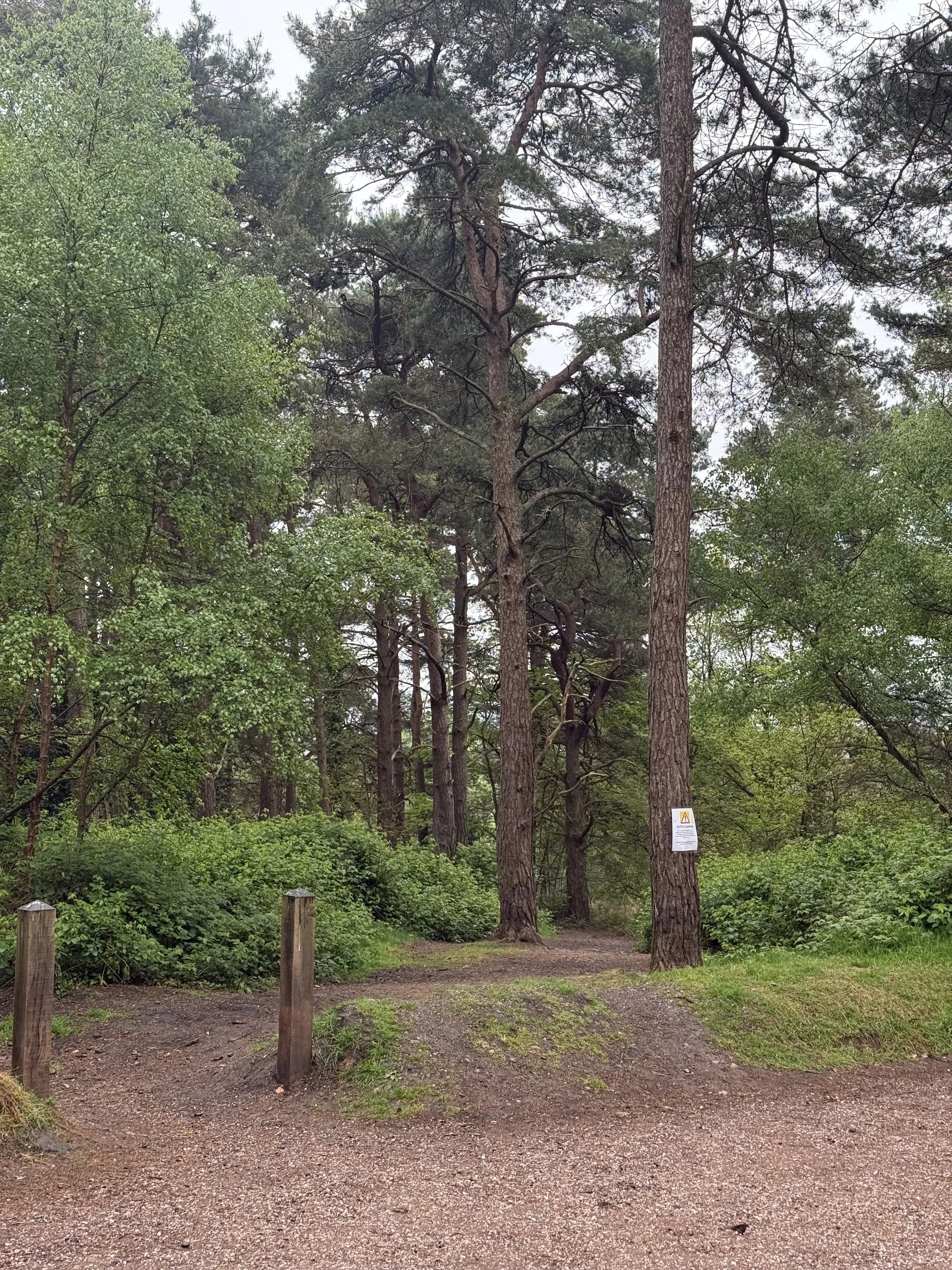 Squabmoor car park, beginning of the walk