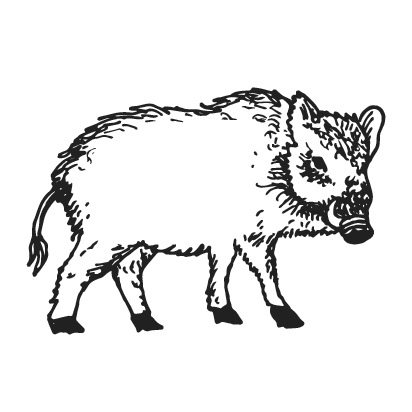 animals.gif