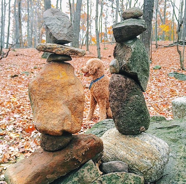 doug brandt narrative pic.jpg
