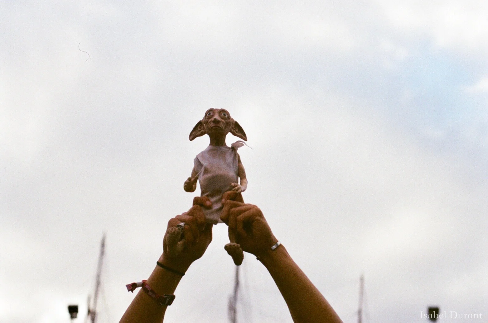 Dobby the free elf @dobbyadventures