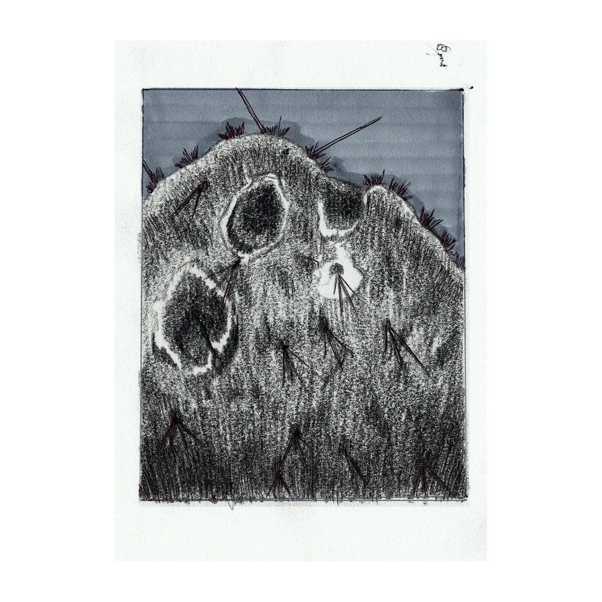 pricklypear2icon.jpg