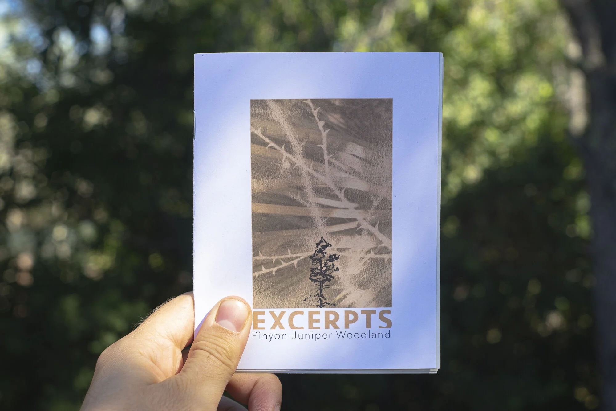 Excerpts Zine