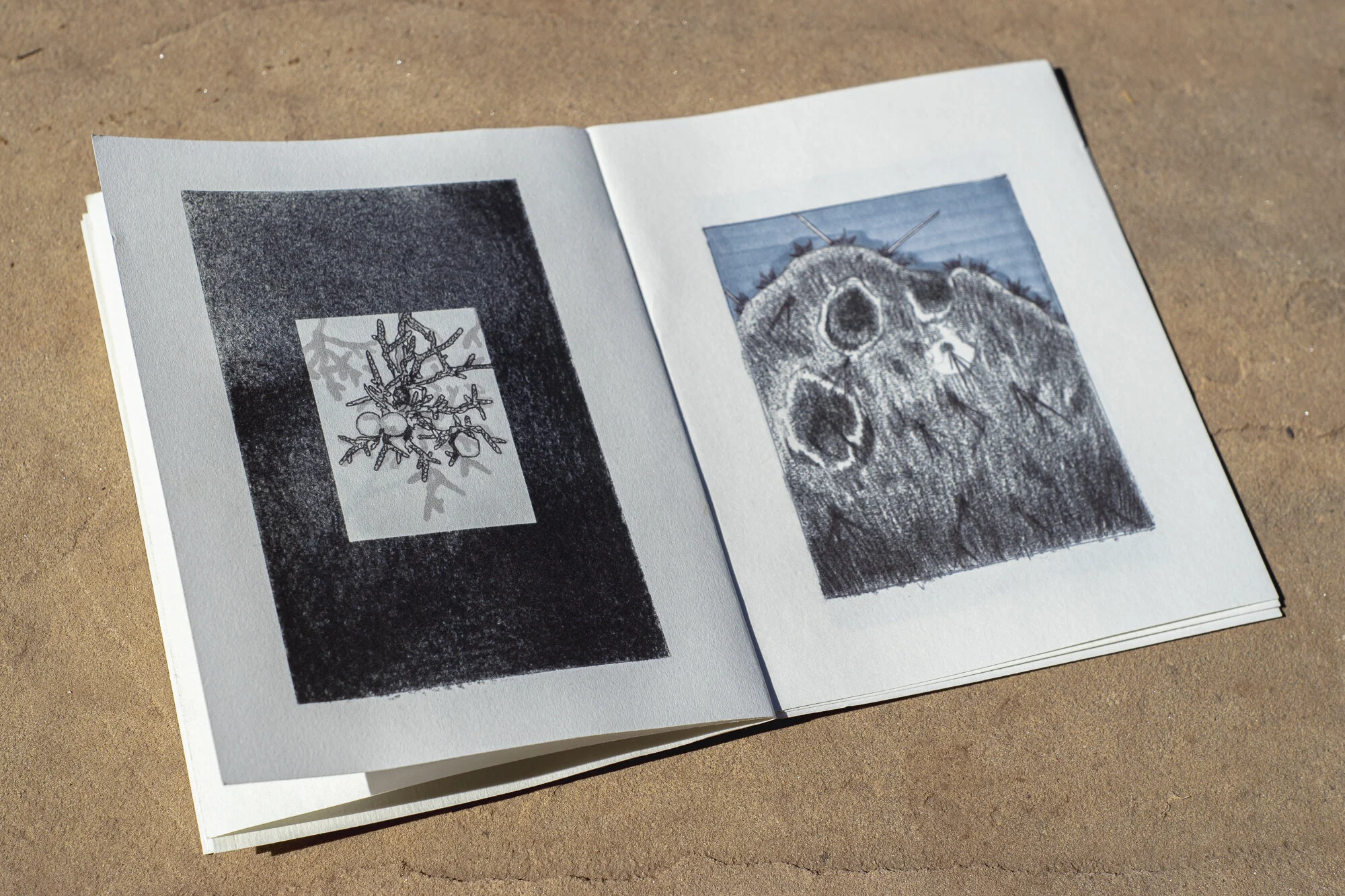 Excerpts Zine