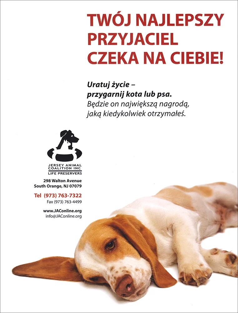 Jersey Animal Coalition