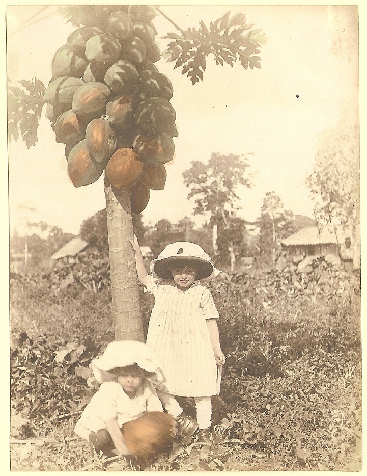 My aunts Elizabeth and Arta Grace and a papaya tree, 1916. The papayas are called “paw-paws” and grow as big as watermelons in the tropics. This photo was hand-tinted by my grandmother.