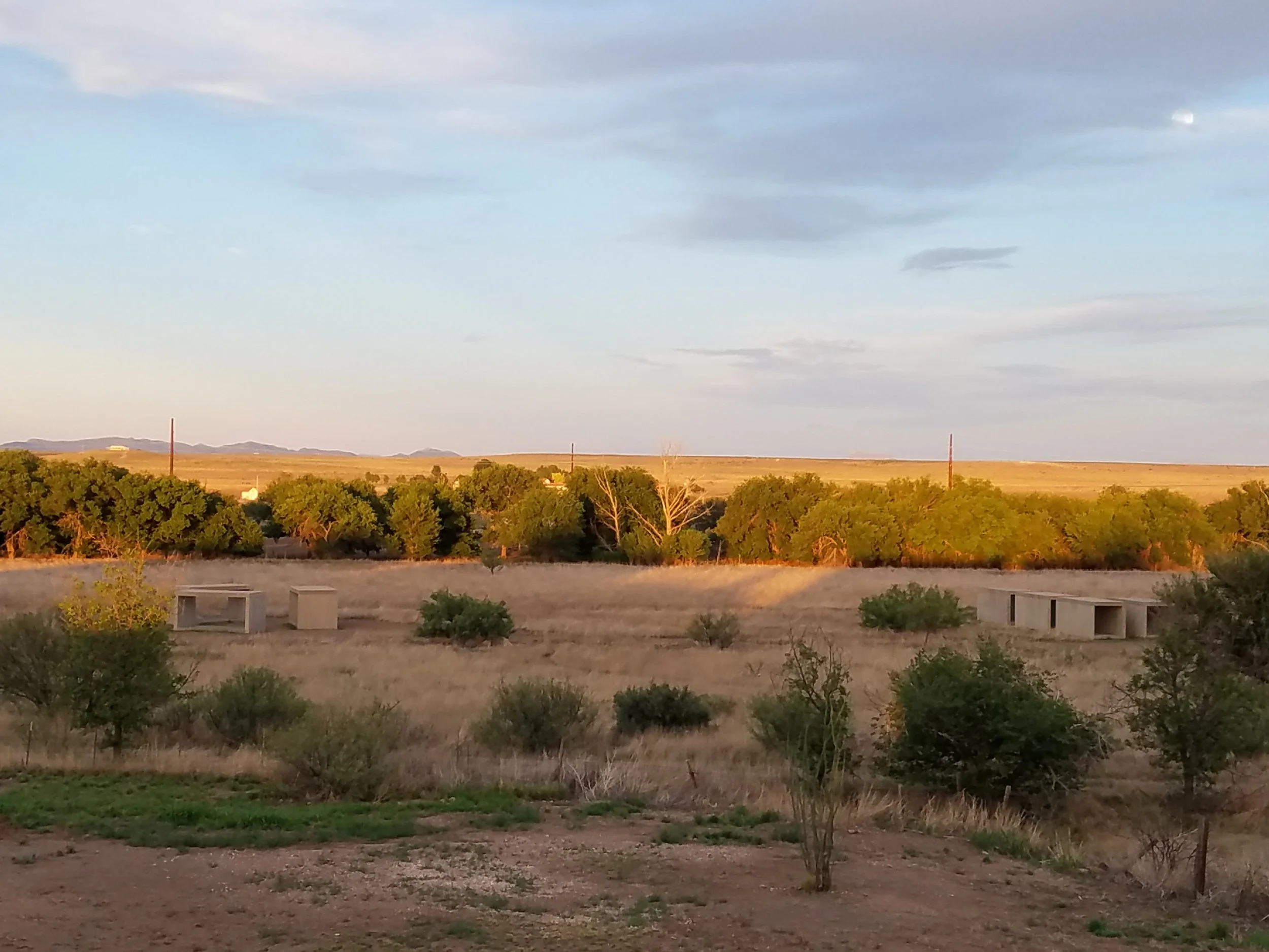 Golden hour. Taken at the Marfa, Texas home of musician Fran Christina and his artist wife Julie Speed. They live next to the Chinati Foundation, which was established by the late artist Donald Judd.