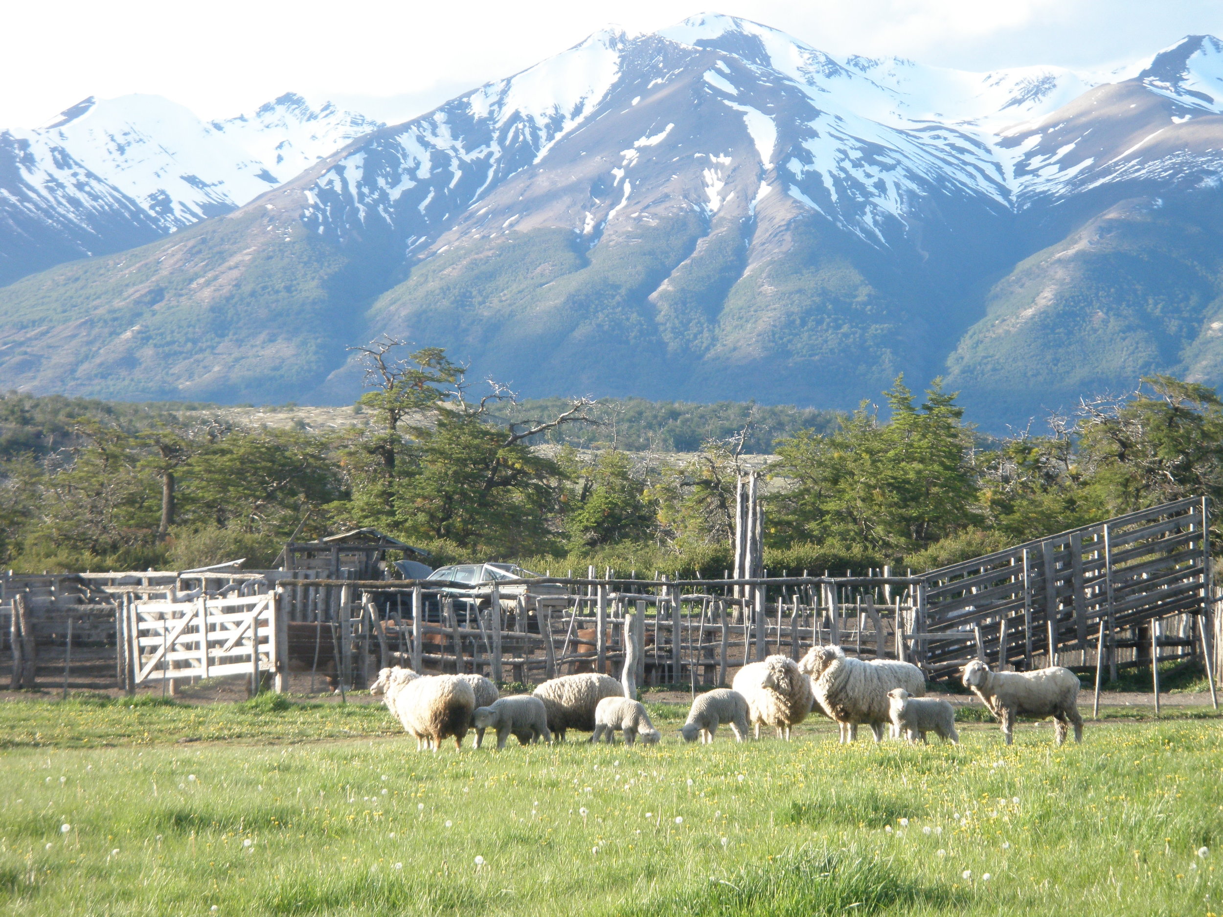 Nibepo Aike, Patagonia. An enchanted spot.