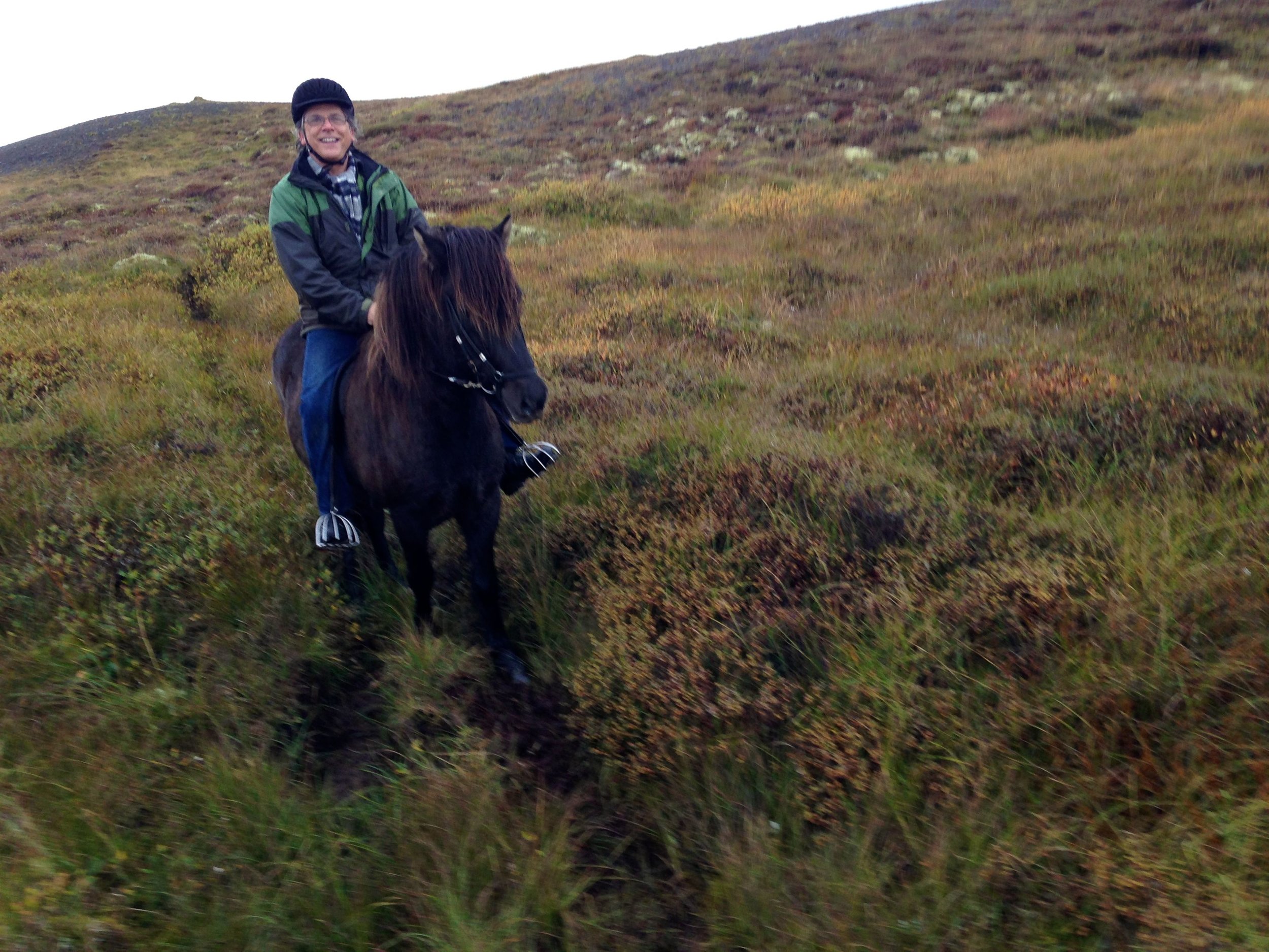 Riding an Icelandic horse. 