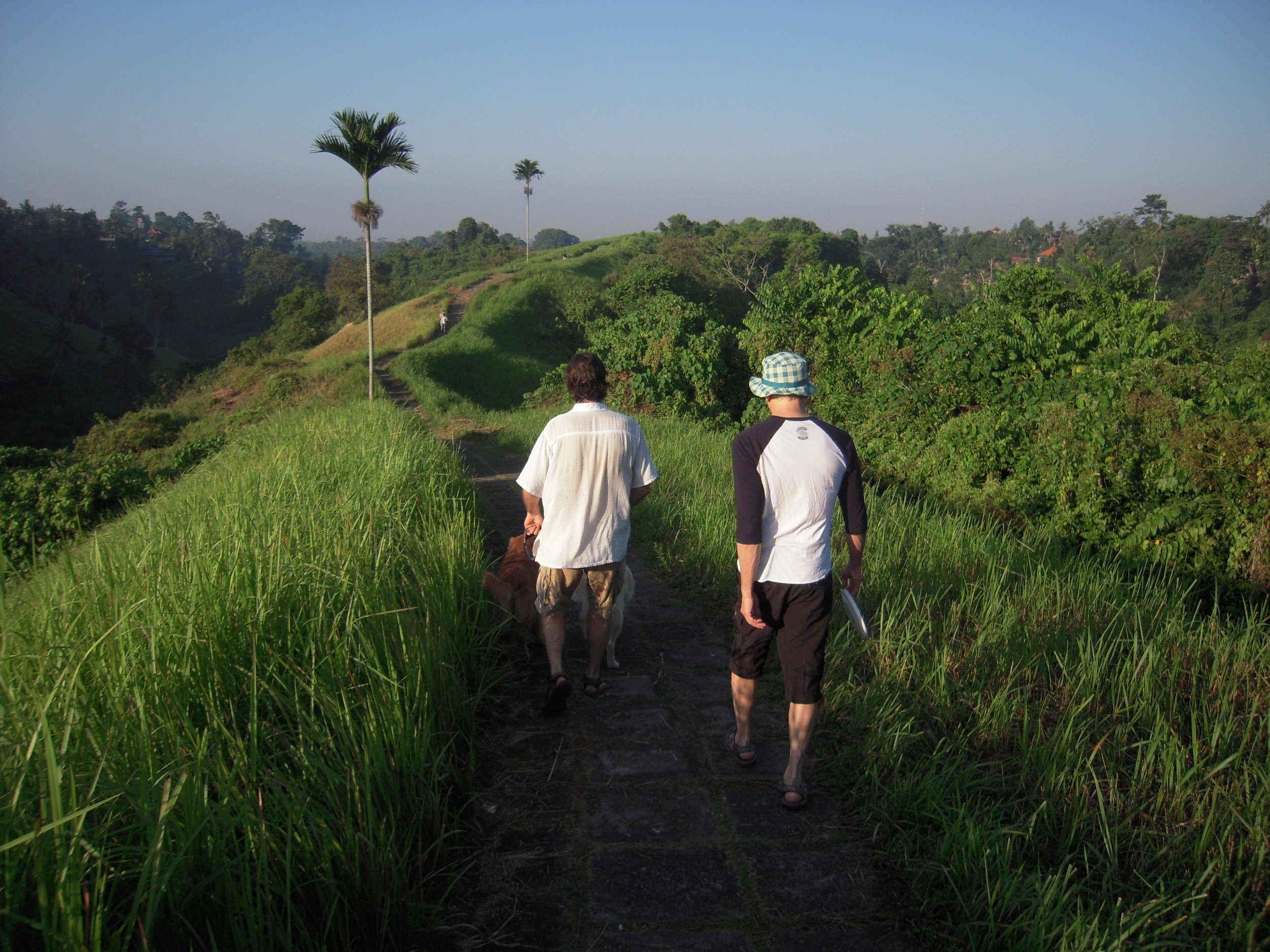 BALI 2014. Joel Singer and Steve walking Joel's dogs Abelard and Heloise.JPG