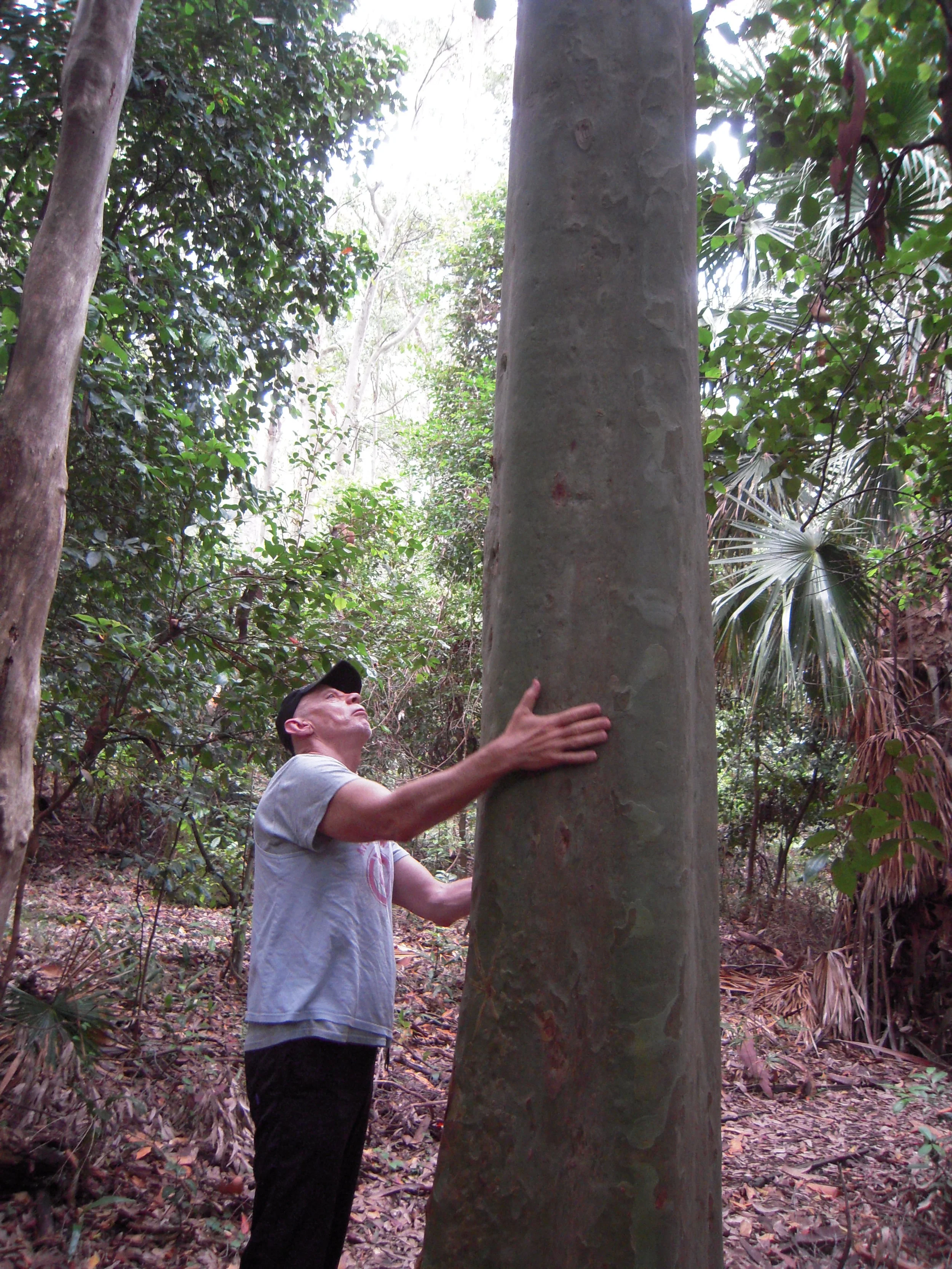 AUSTRALIA 2014 -- Depot Beach Trail.JPG