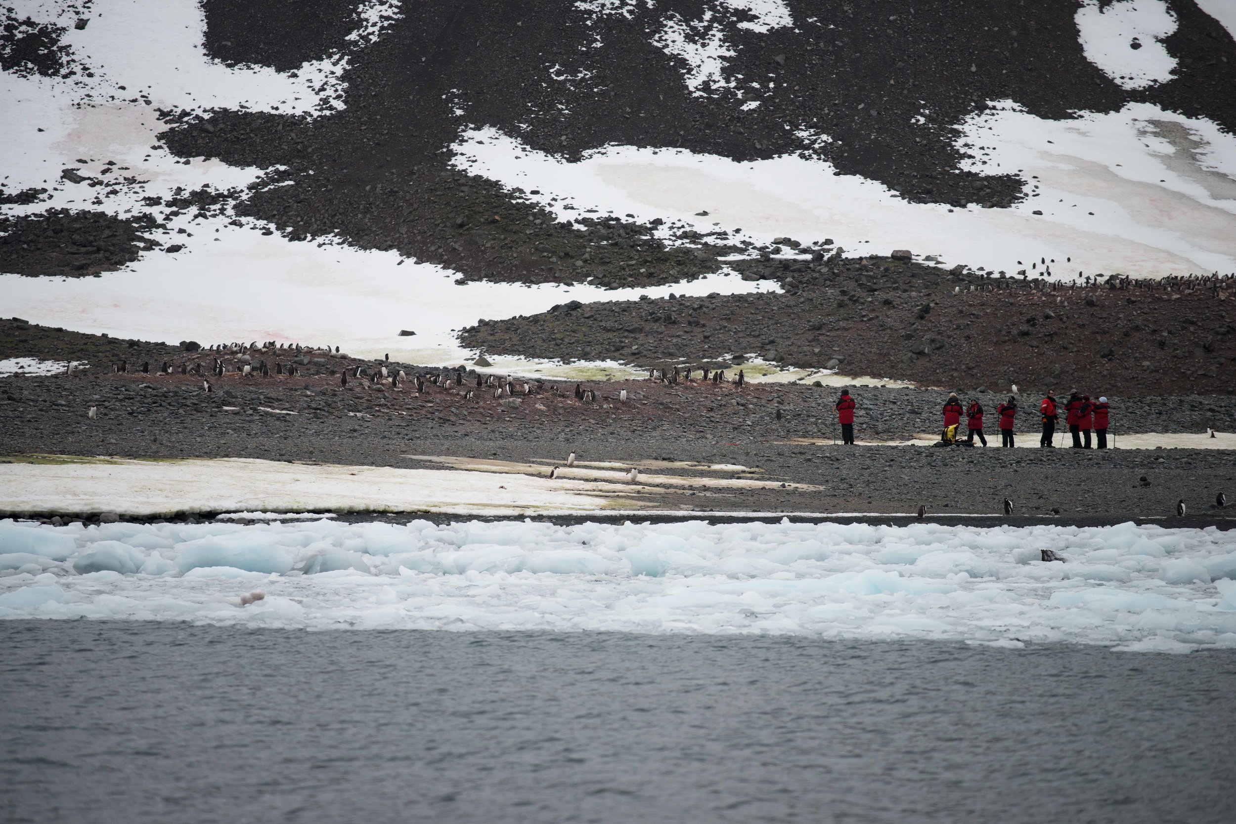 Our first landing, at Yankee Harbor. From the ship, 8 to 10 people would ride a Zodiac ashore to observe penguins.