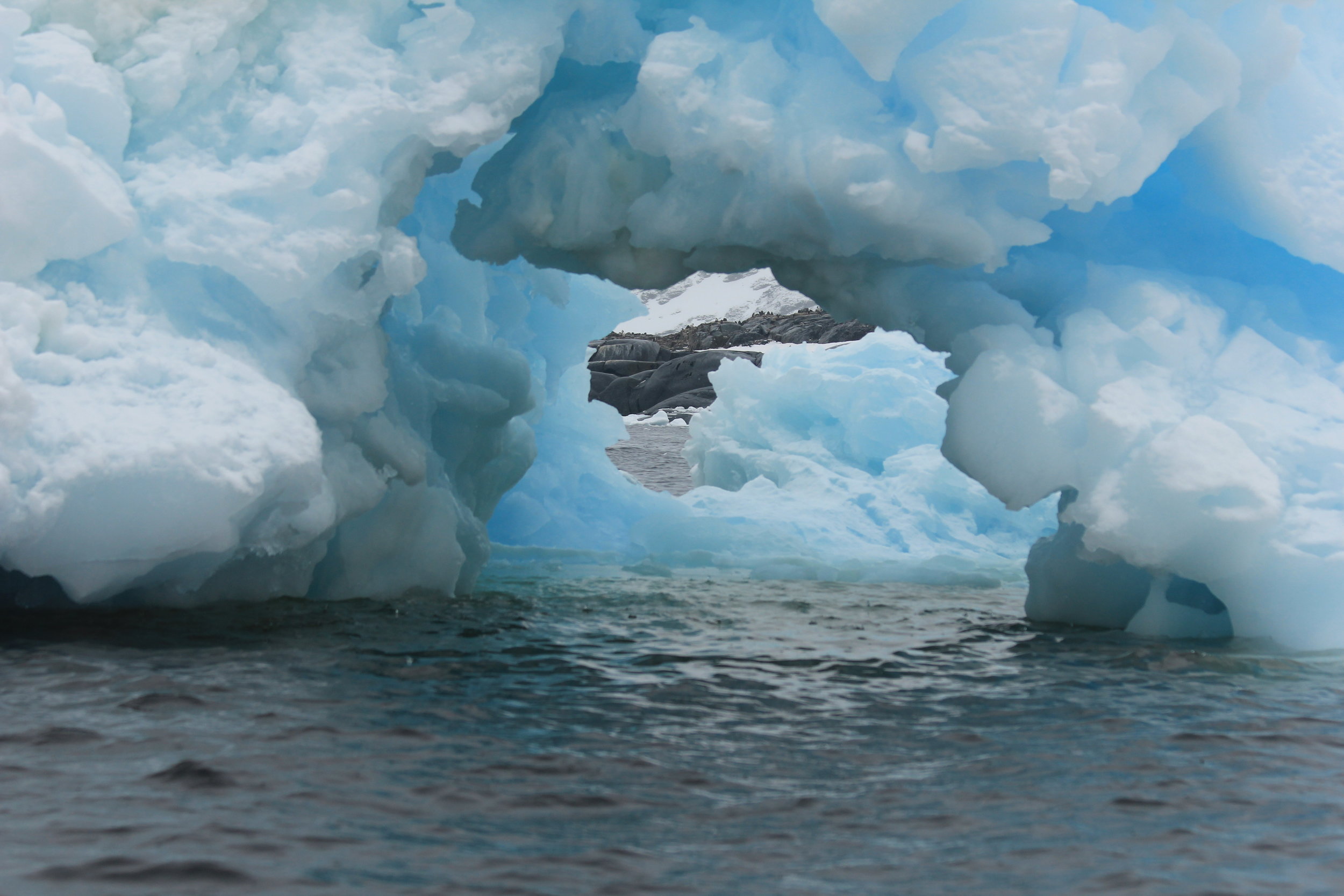 ANTARCTICA -- Icebergs (Bob Hodgson photo)  (2).JPG