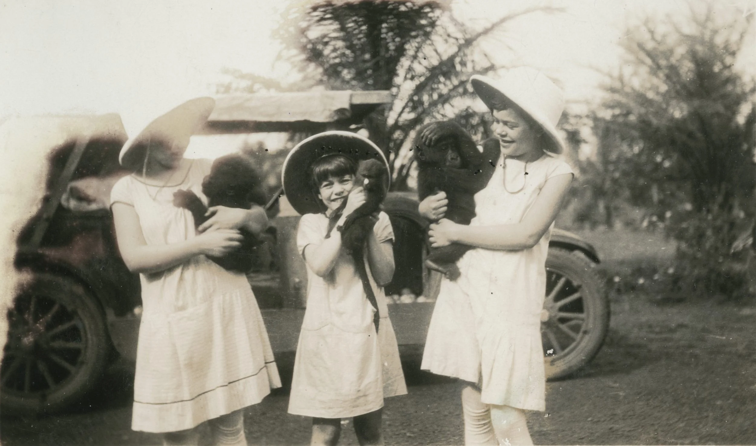 1929. Esther holding an unnamed baby gorilla, Winifred holding Minkie, Roberta holding baby gorilla Bushman.