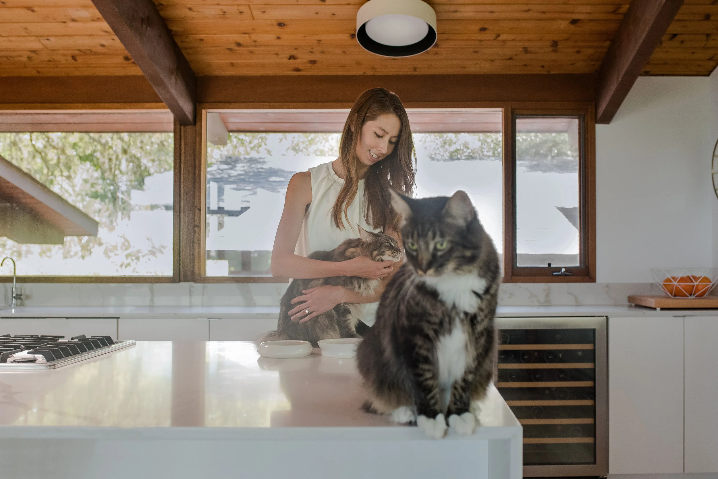 DESIGNERS AND THEIR CATS