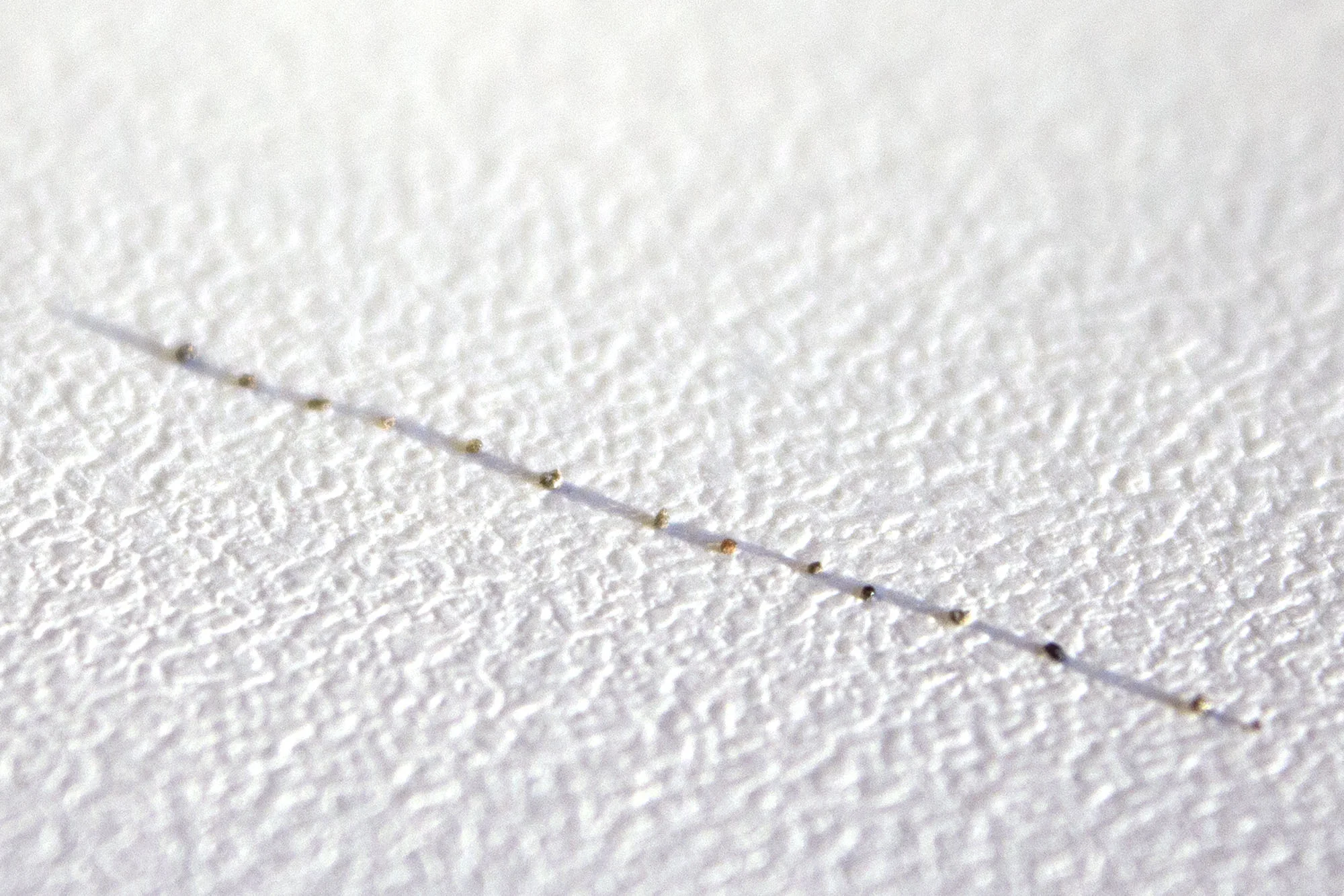 a line, the infinite , 2014 sand, natural light 1 in.