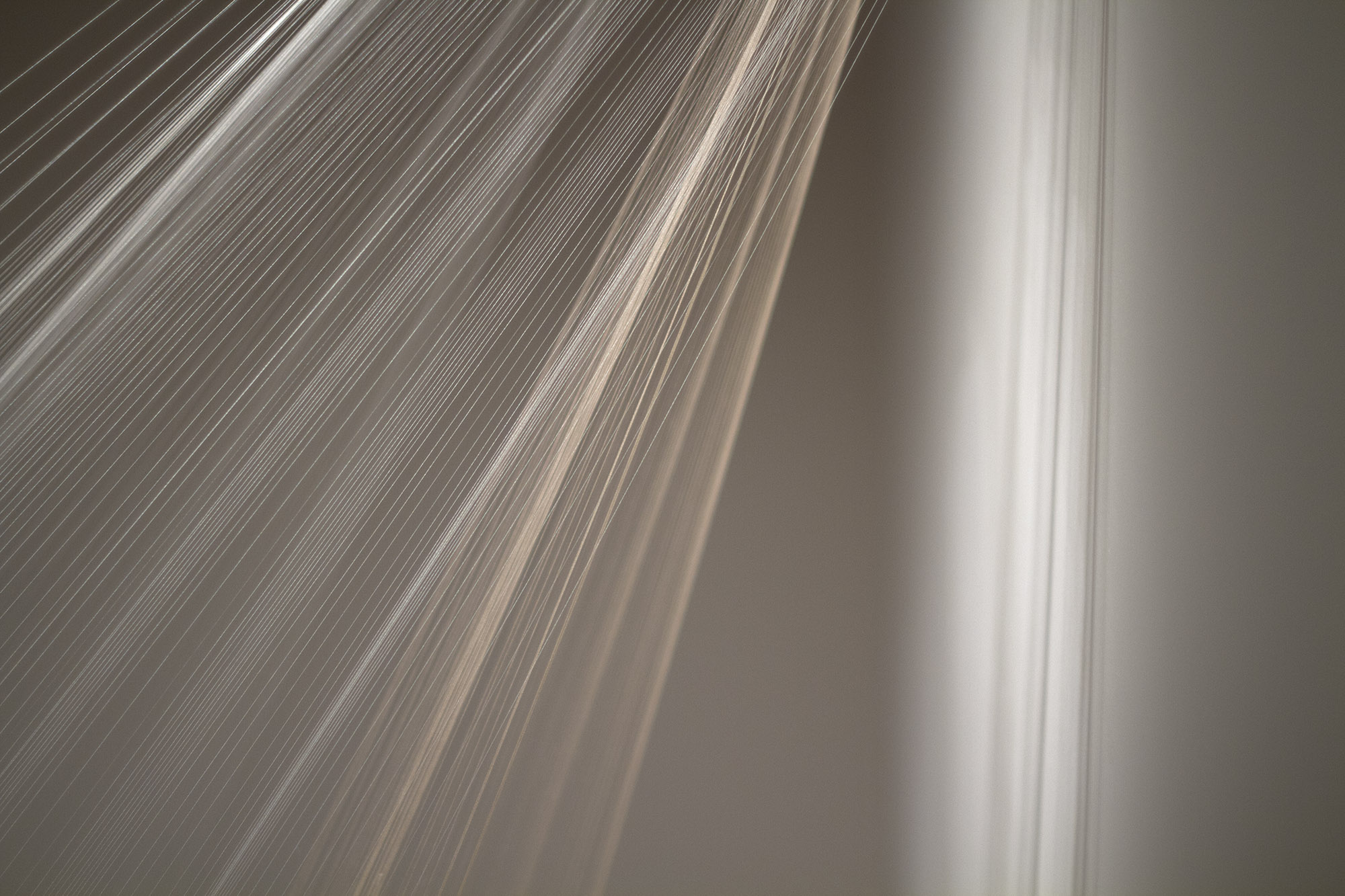    conditional presences  , 2013 (detail) silk string, glass microspheres, coal slag, light 9 x 13.5 x 16 ft. image credit |&nbsp; Ian Clark    Disjecta , Portland OR 